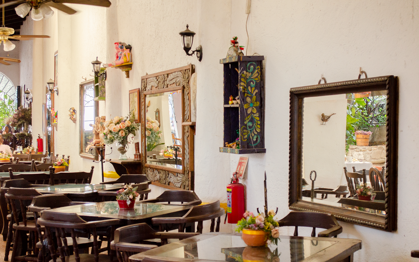 El Campestre image 1