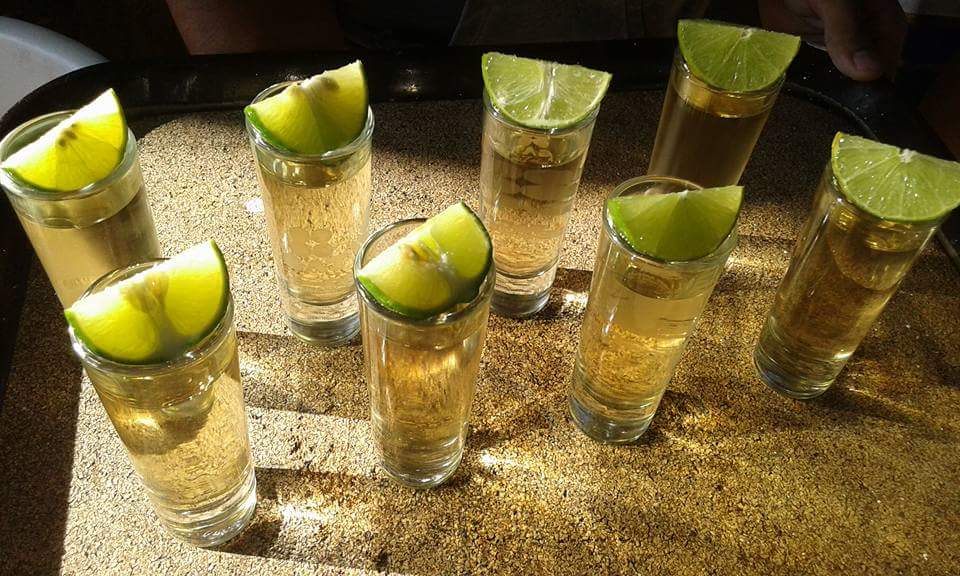 El Oasis De Barbas image 2