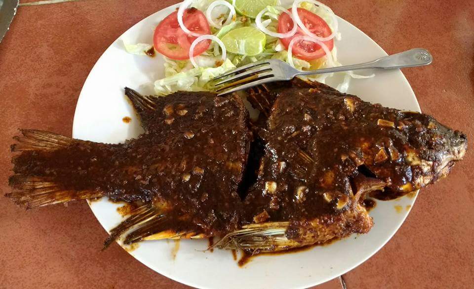 El Oasis De Barbas image 4