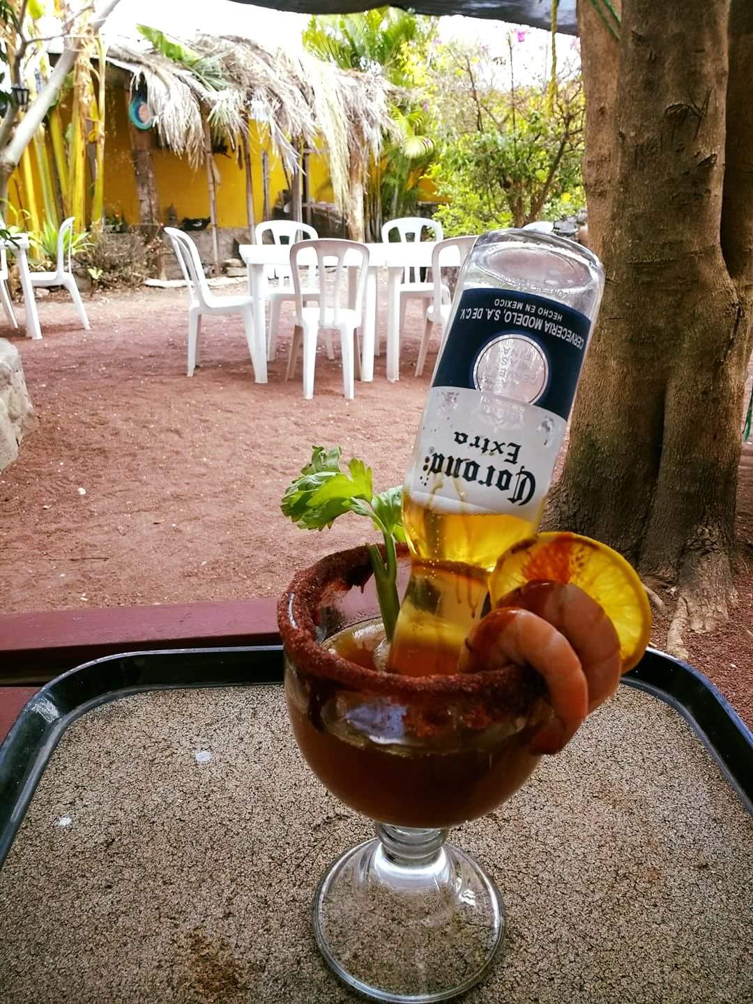 El Oasis De Barbas image 5