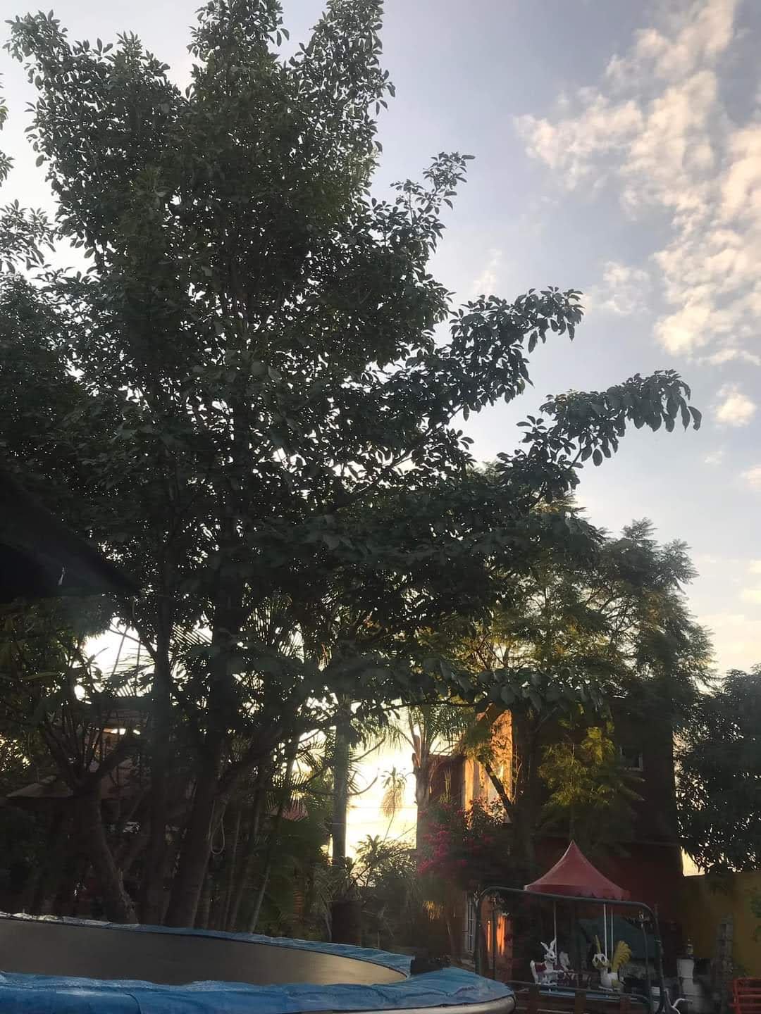 El Oasis De Barbas image 10