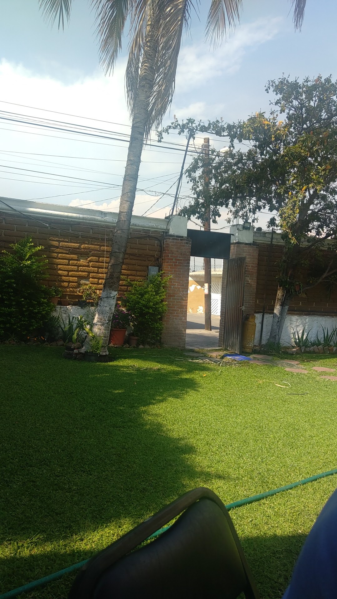Jardin Tovar image 8
