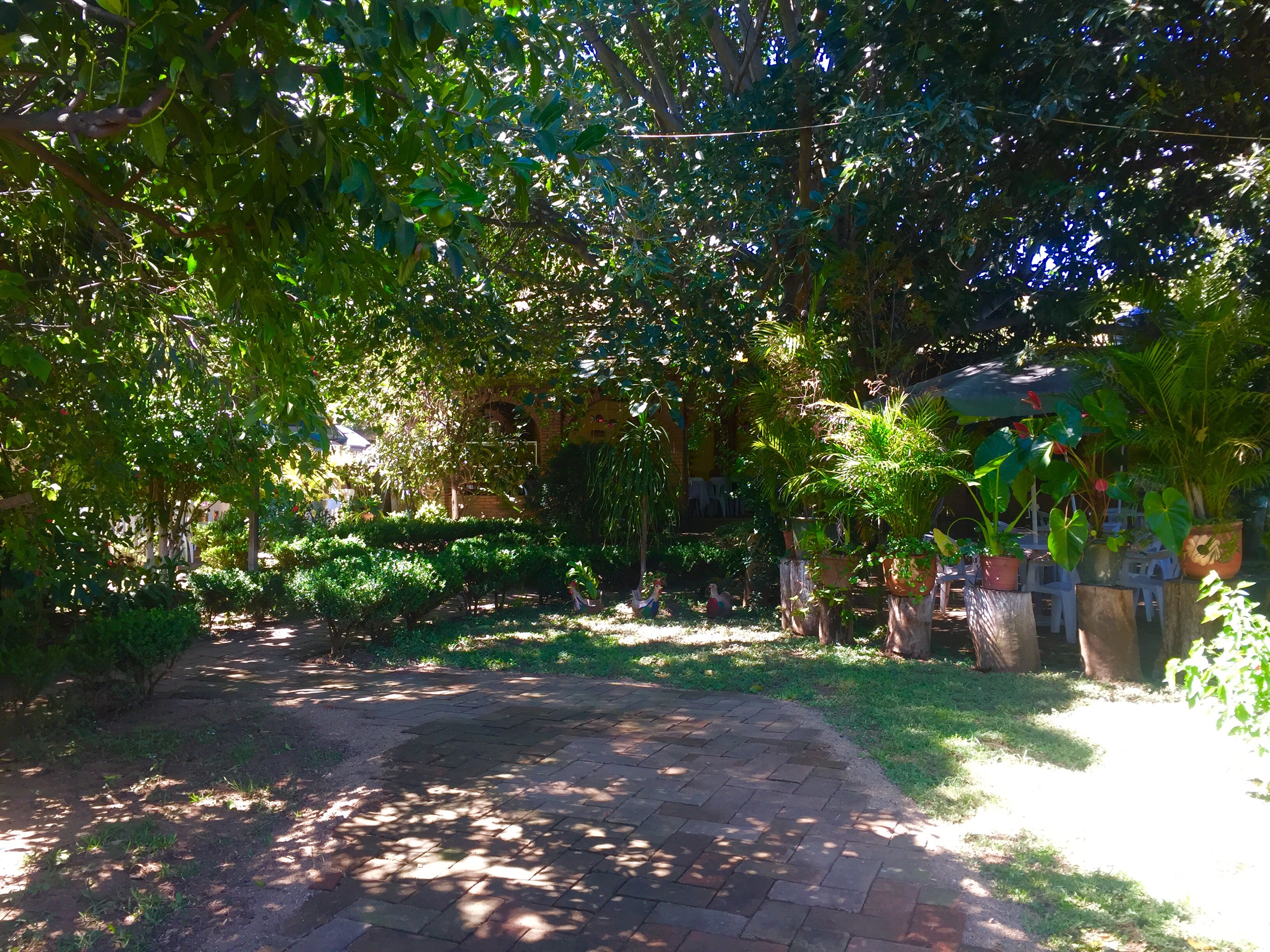 Restauran Campestre "El patio del Tío Pepe" image 2