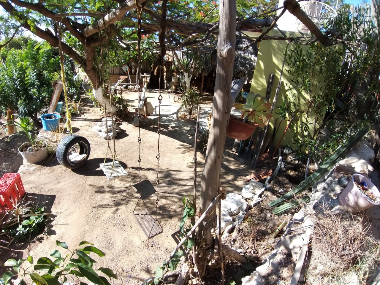 Marisqueria "El timon" image 5