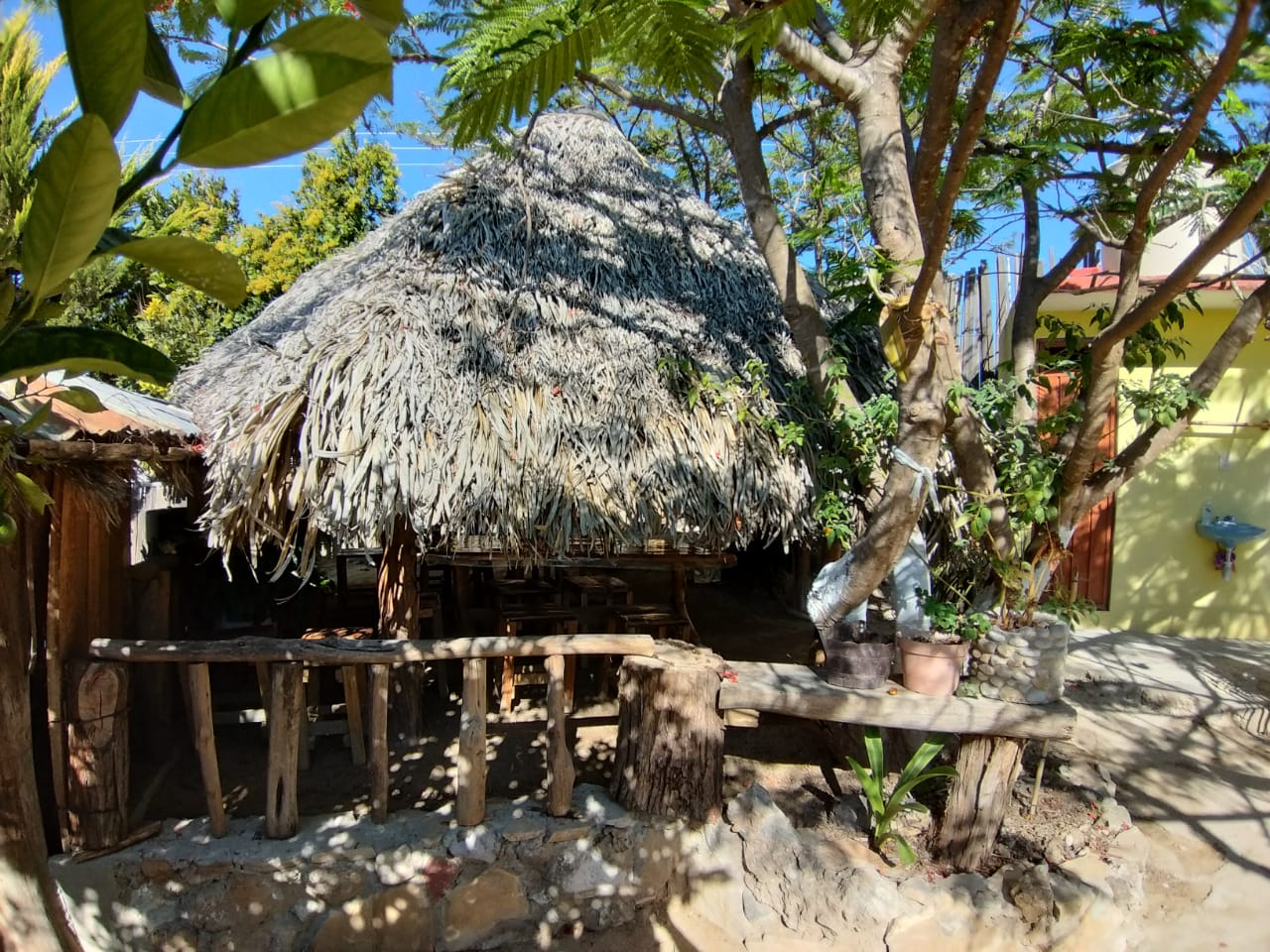 Marisqueria "El timon" image 6