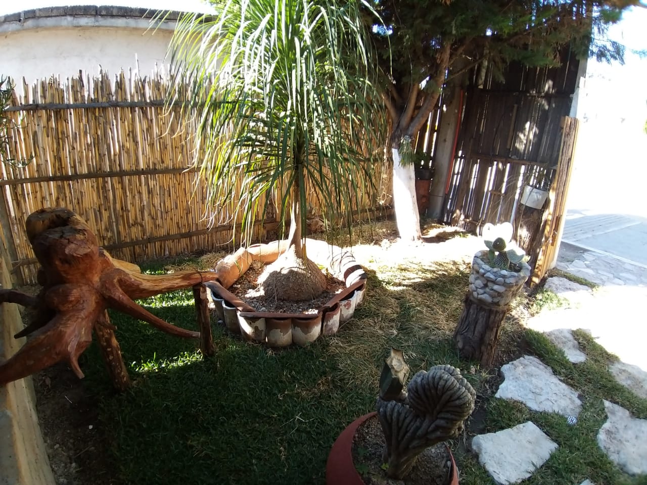 Marisqueria "El timon" image 10