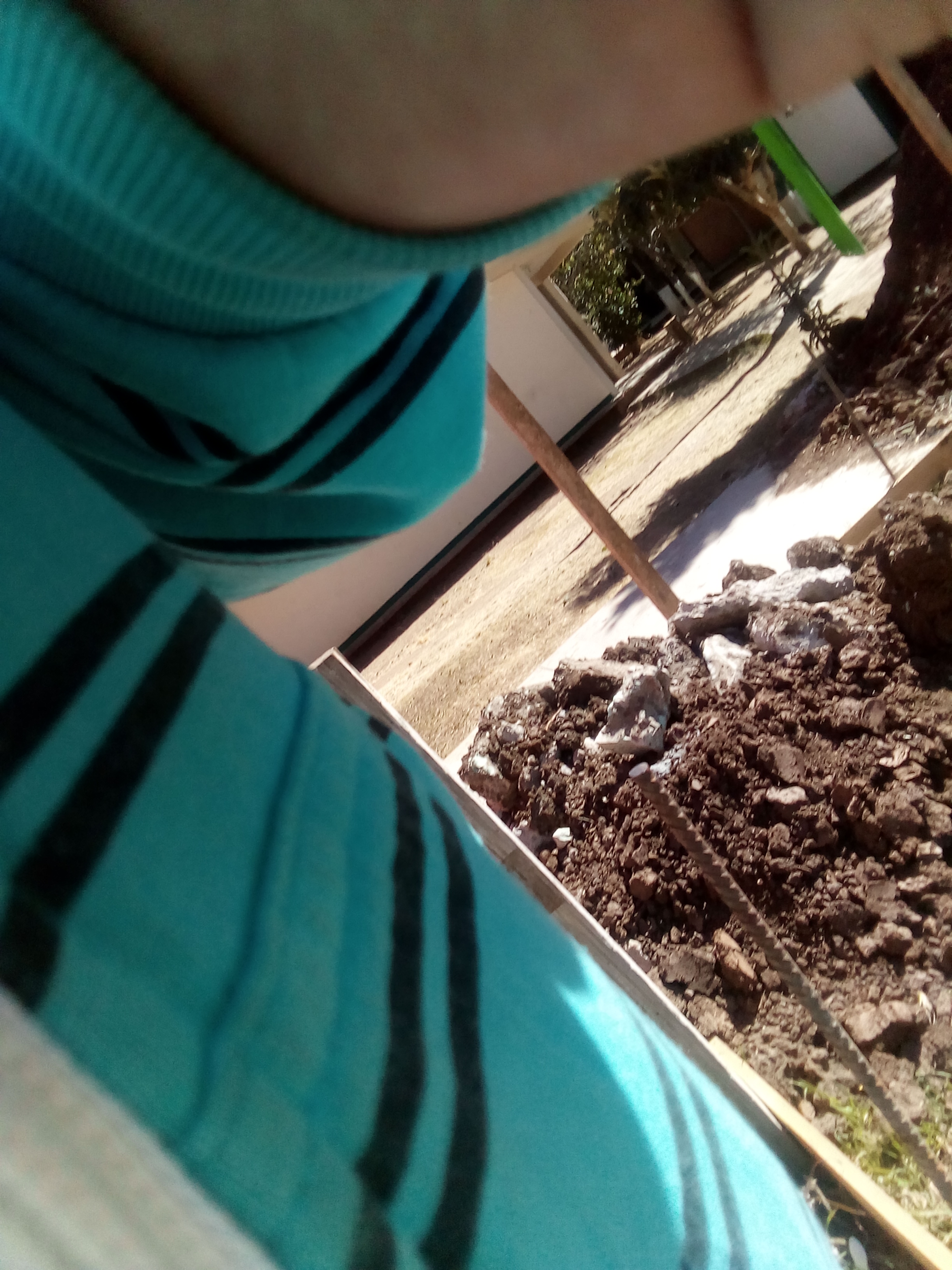 Taqueria Lupita image 5