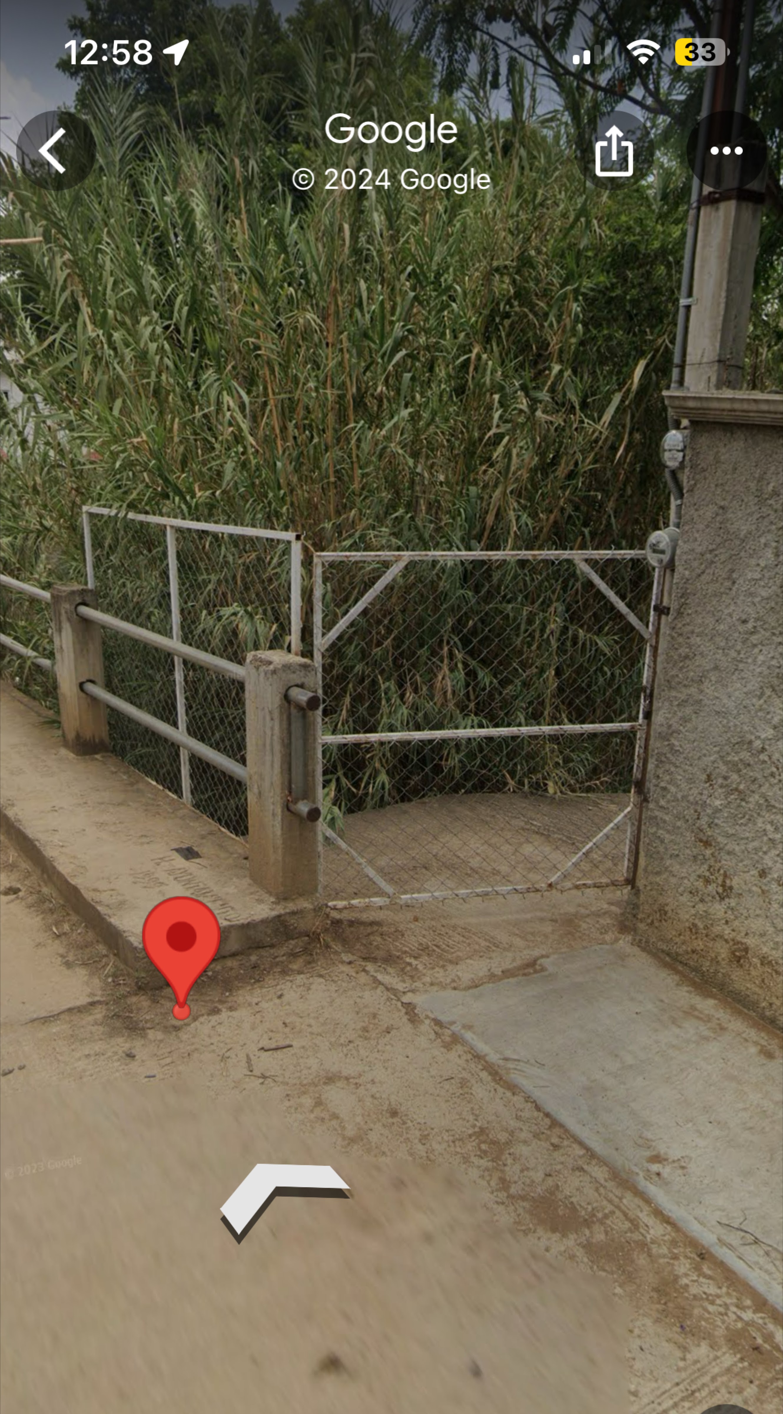 criadero de mojarras Los Colorines image 6