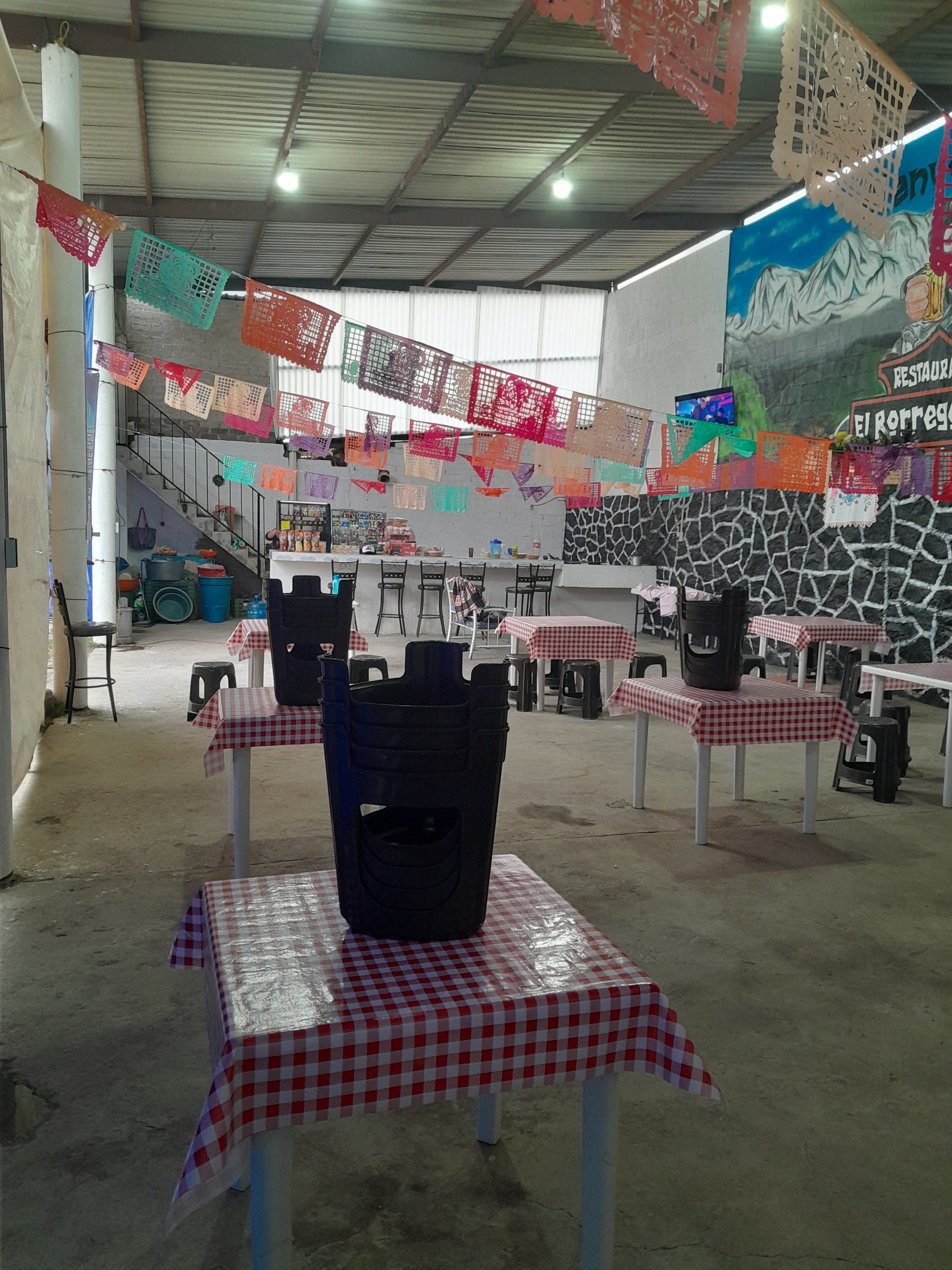 El Borrego Loco image 1