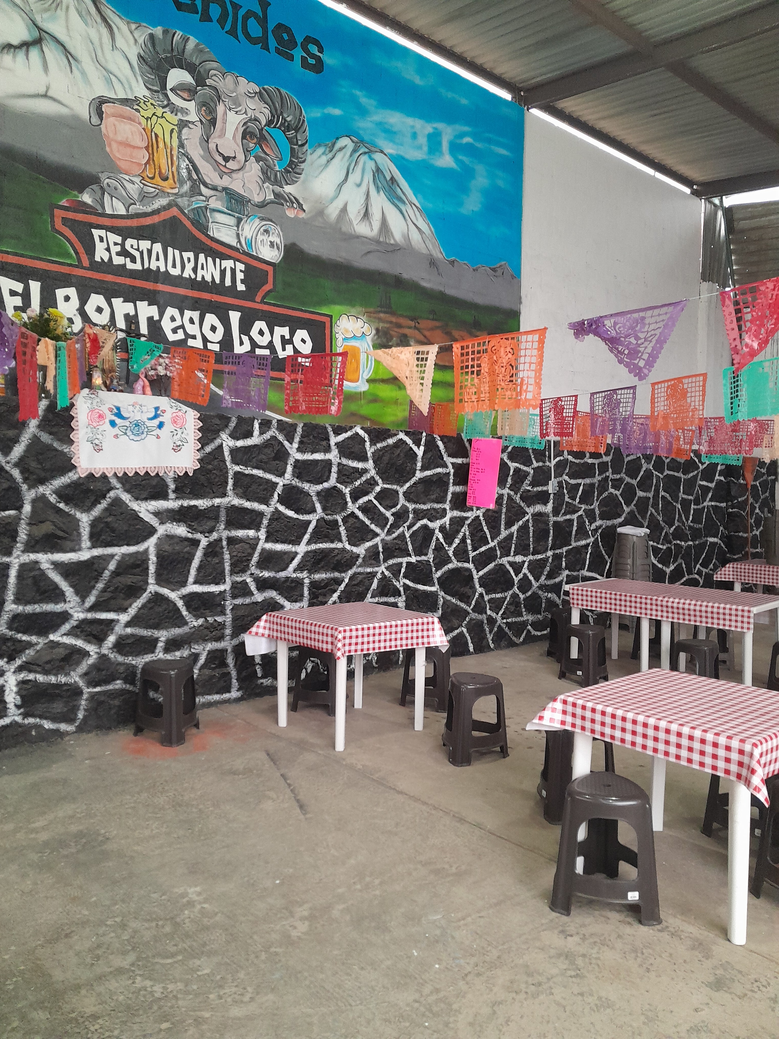 El Borrego Loco image 3