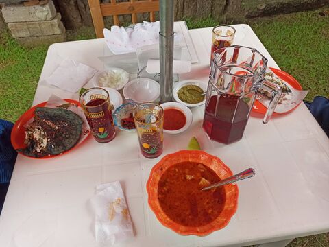 El ahuehuete image 1
