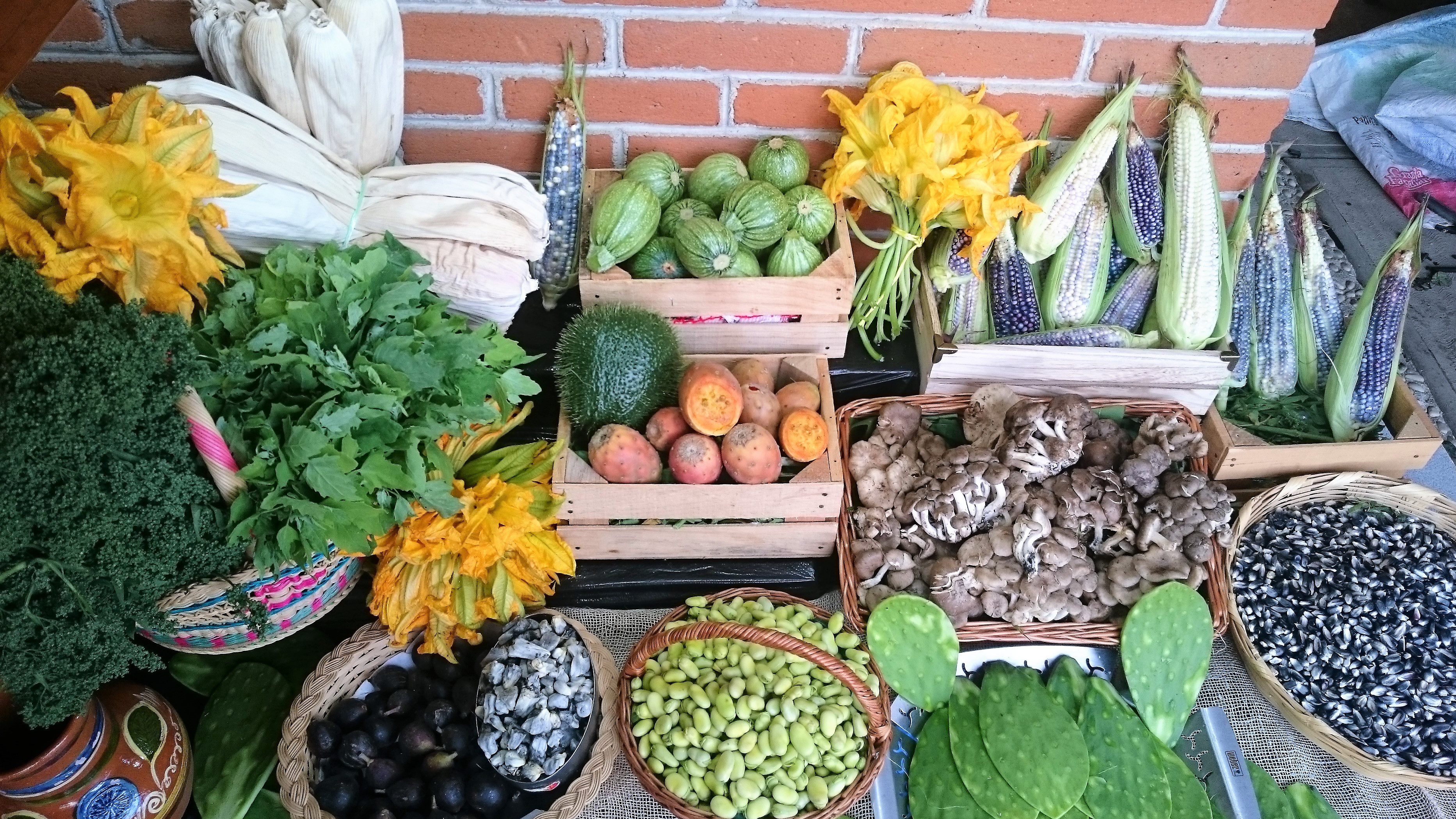 Barbacoa Don Canelo image 5