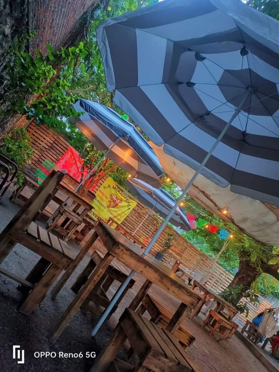 La Mixioteria image 1