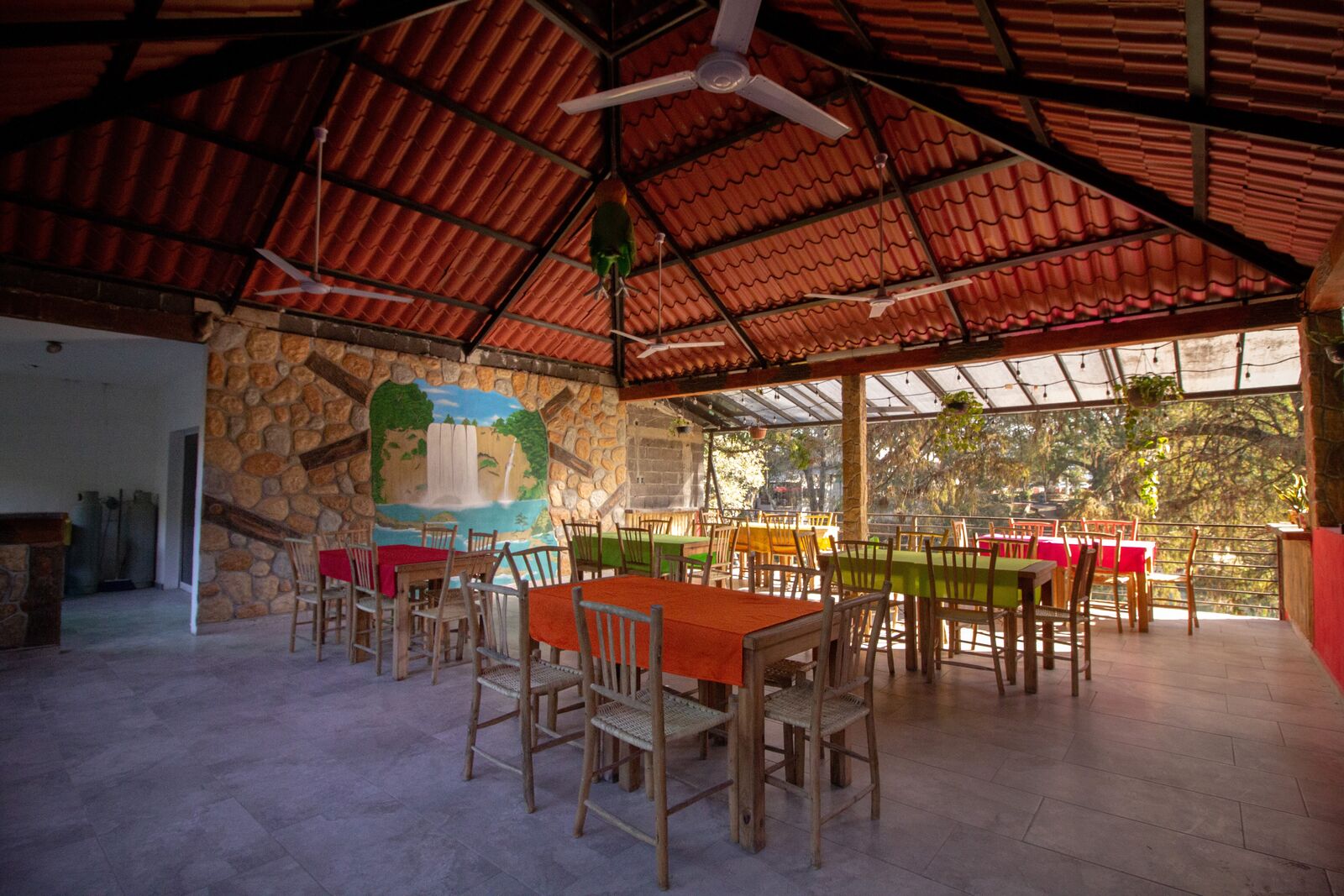 Tucanete Huasteco image 1