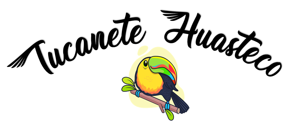 Tucanete Huasteco image 10