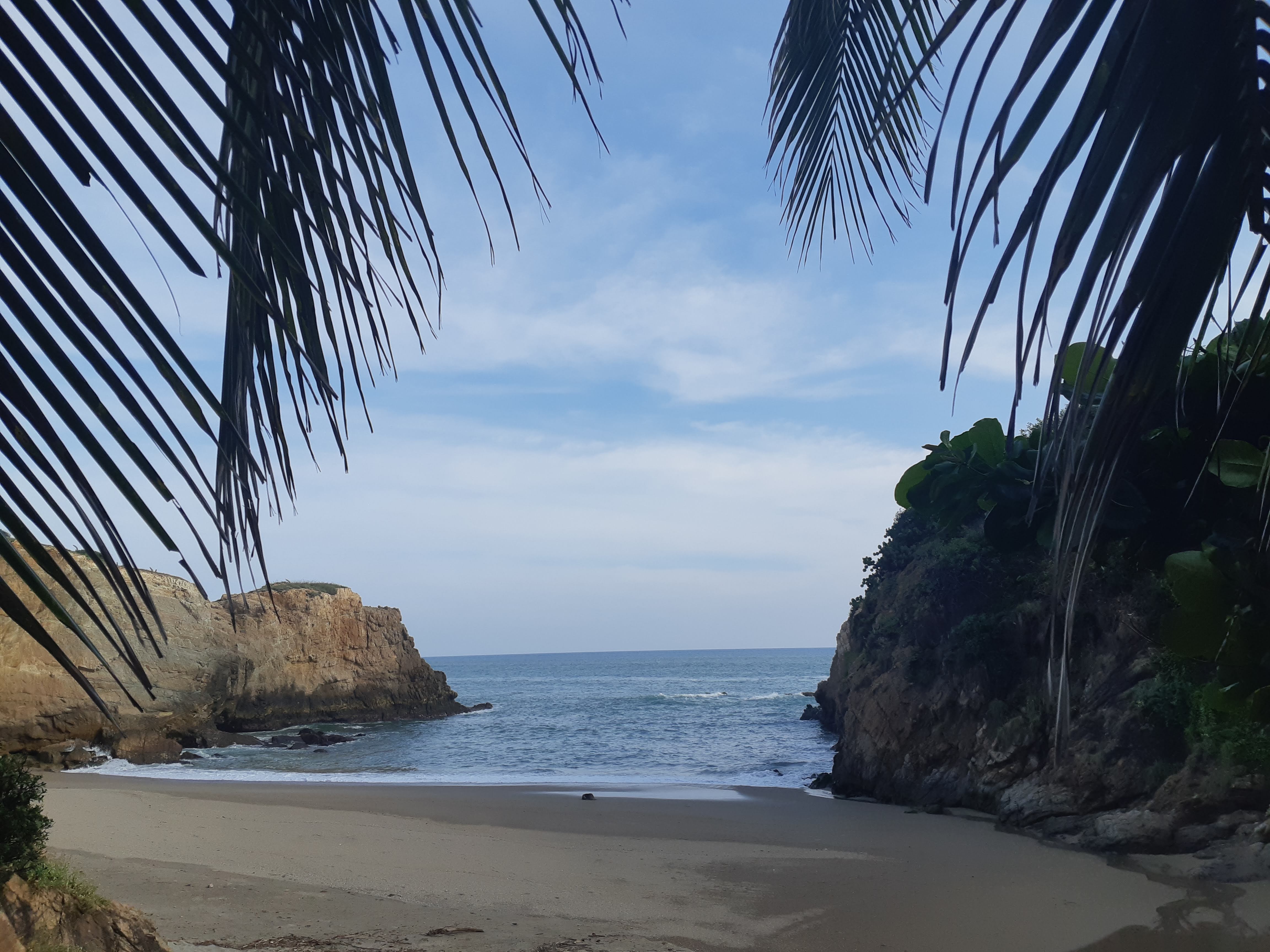 Enramada Marlin image 7