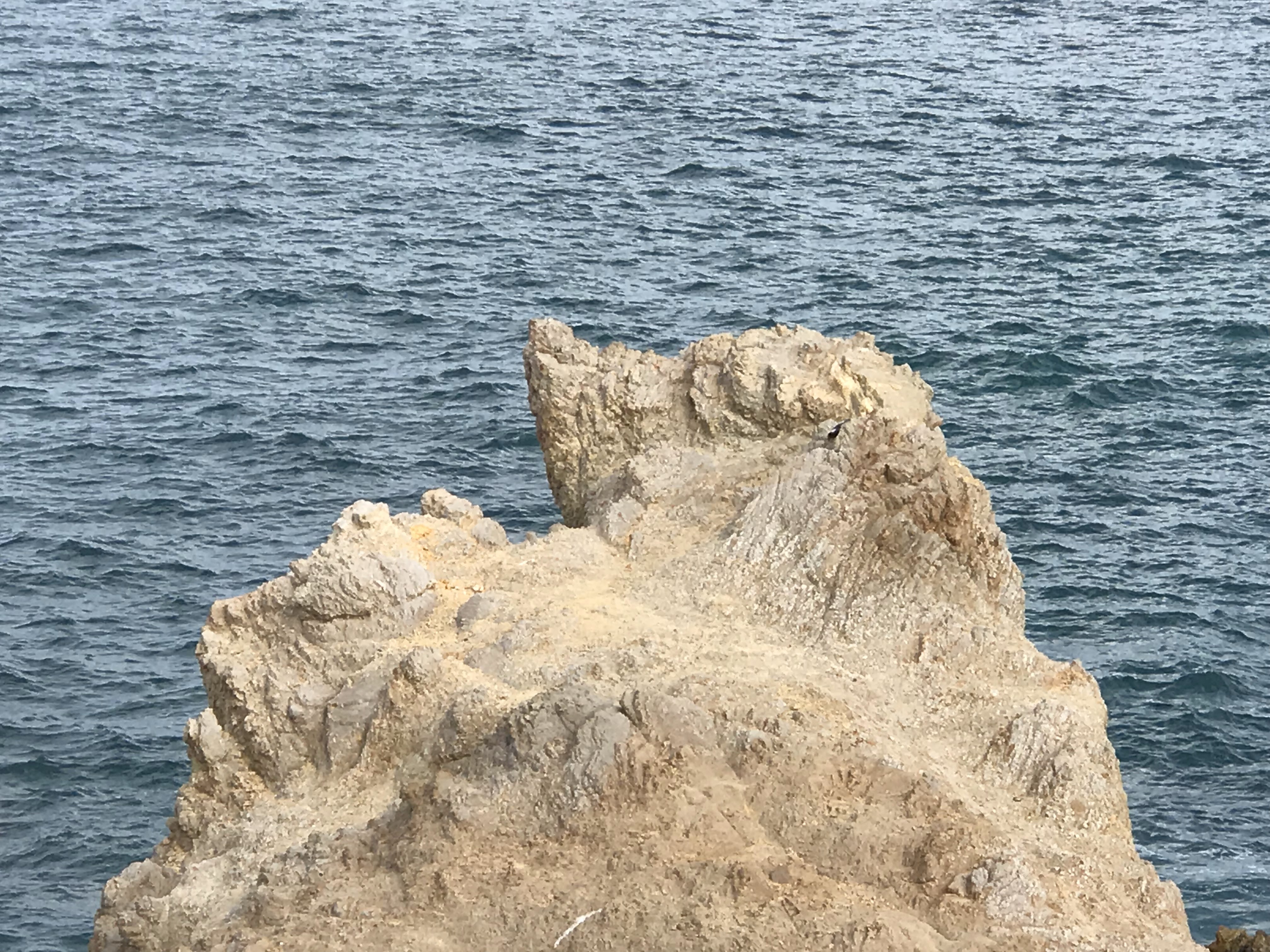 Enramada Marlin image 8