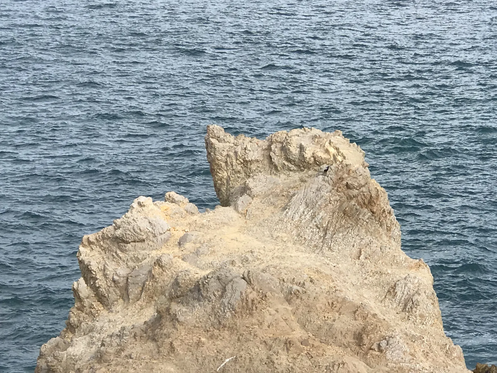 Enramada Marlin image 8