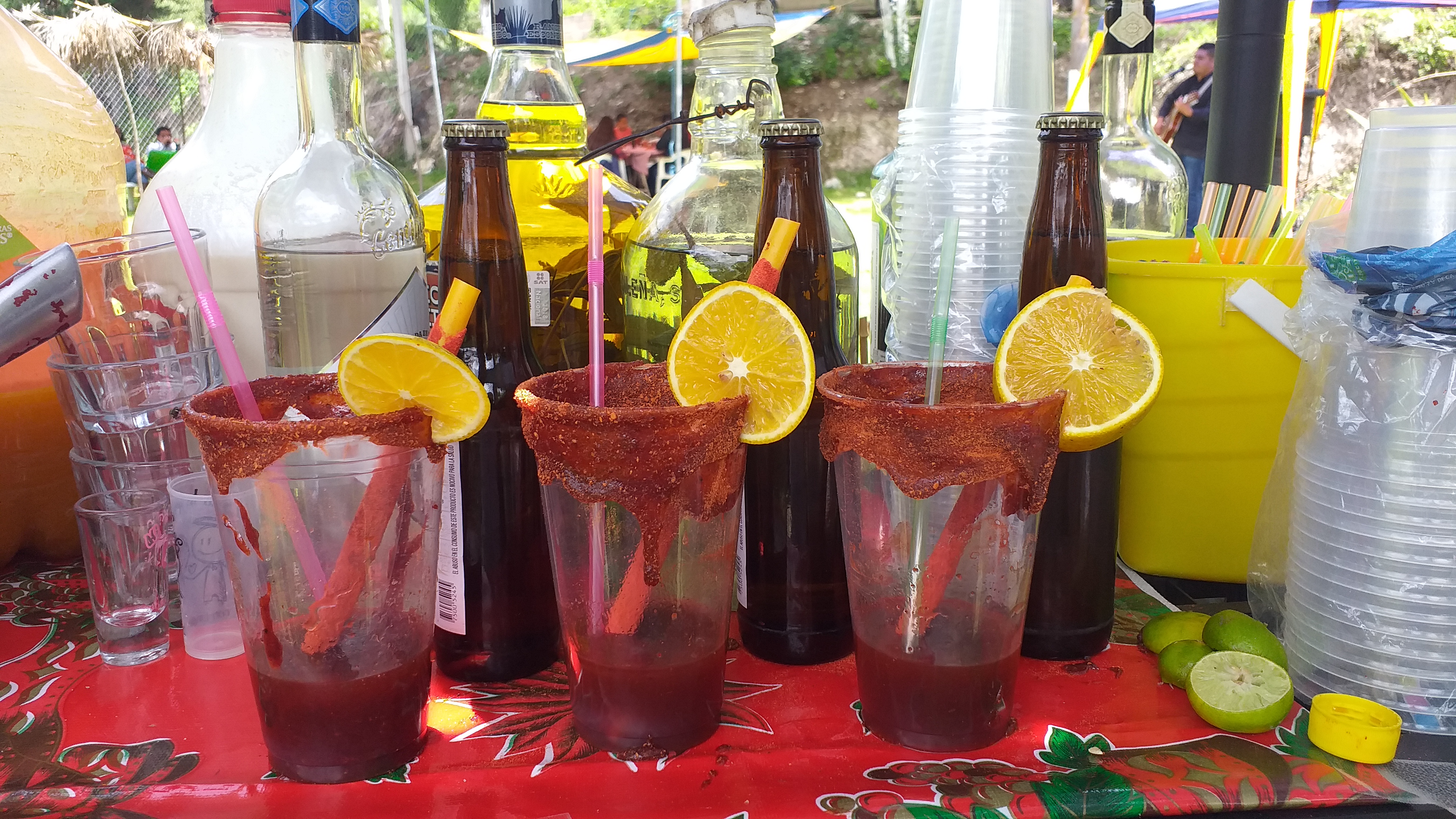 Campestre "El Sabino" image 1