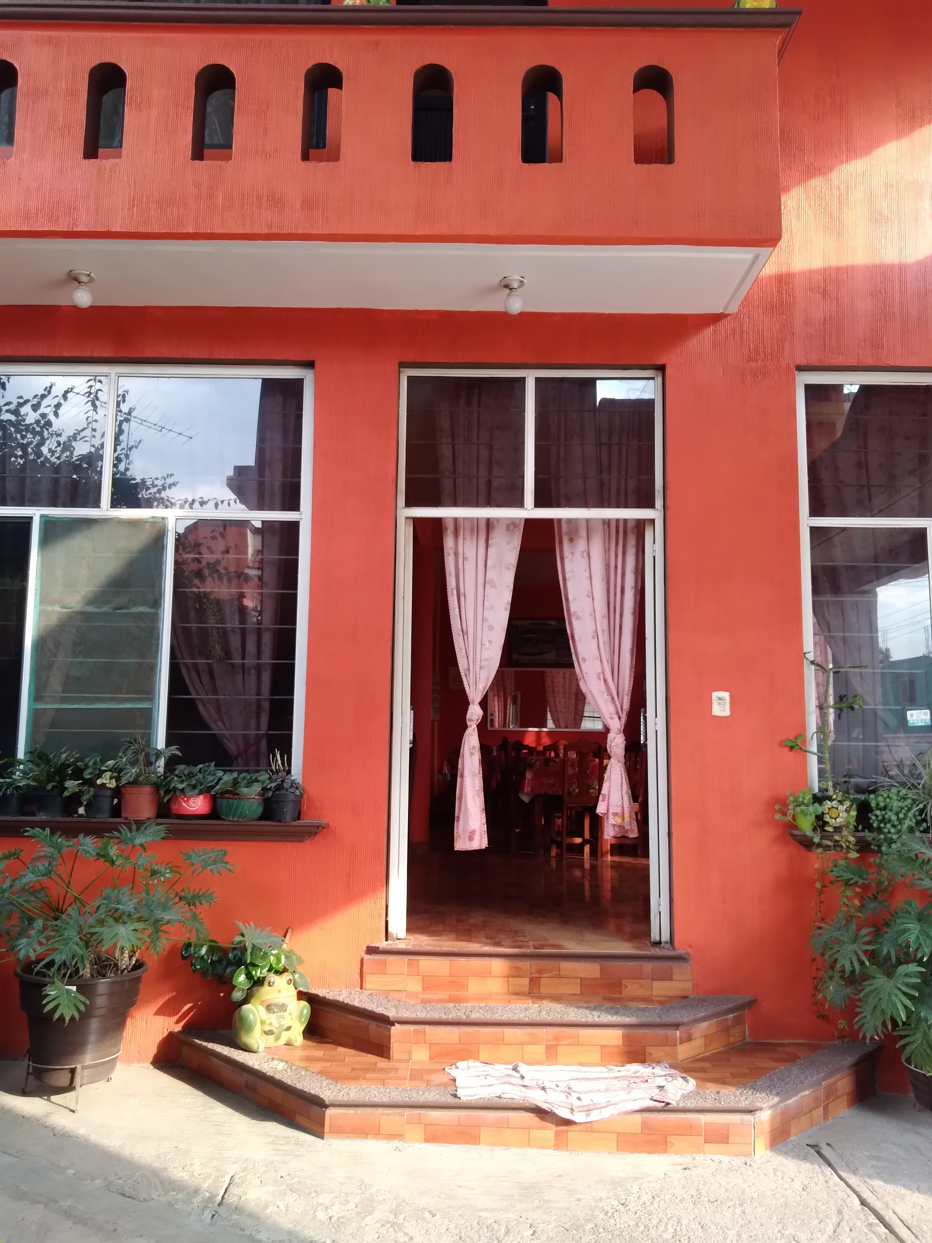 "Fonda Coti" image 1