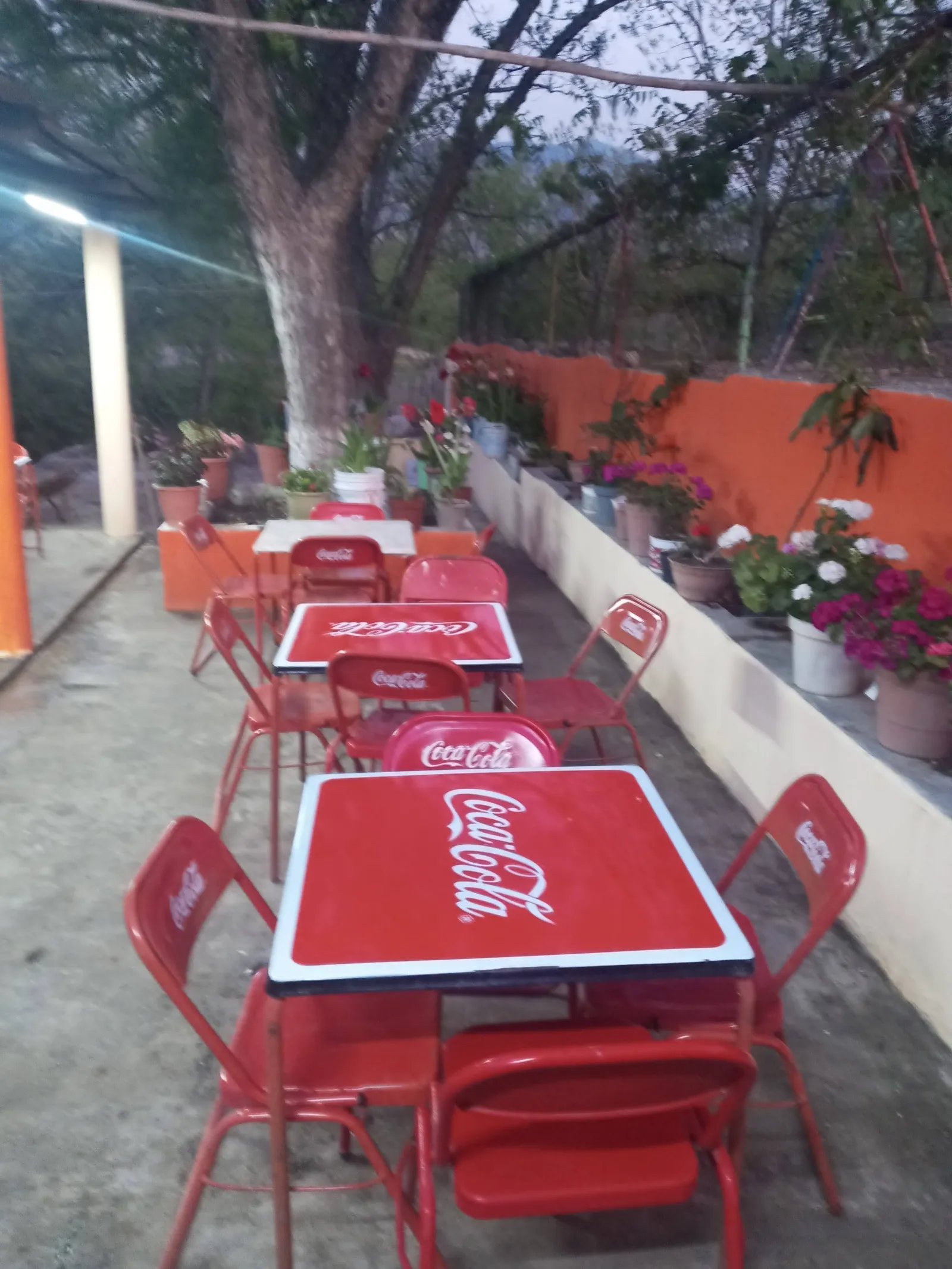 Restaurente Tacos El Primo Hery image 8