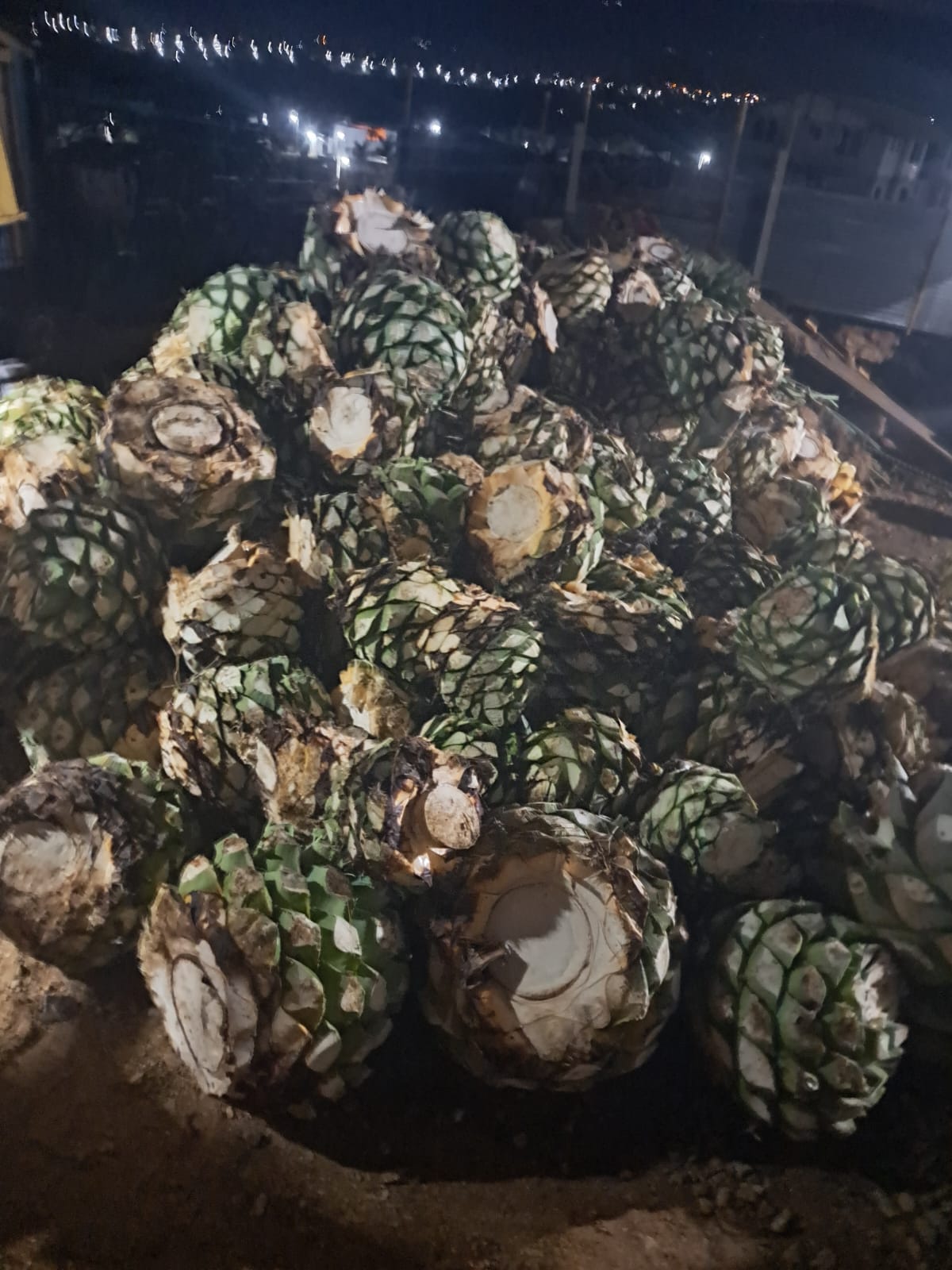 PRODUCTO LOCAL image 1