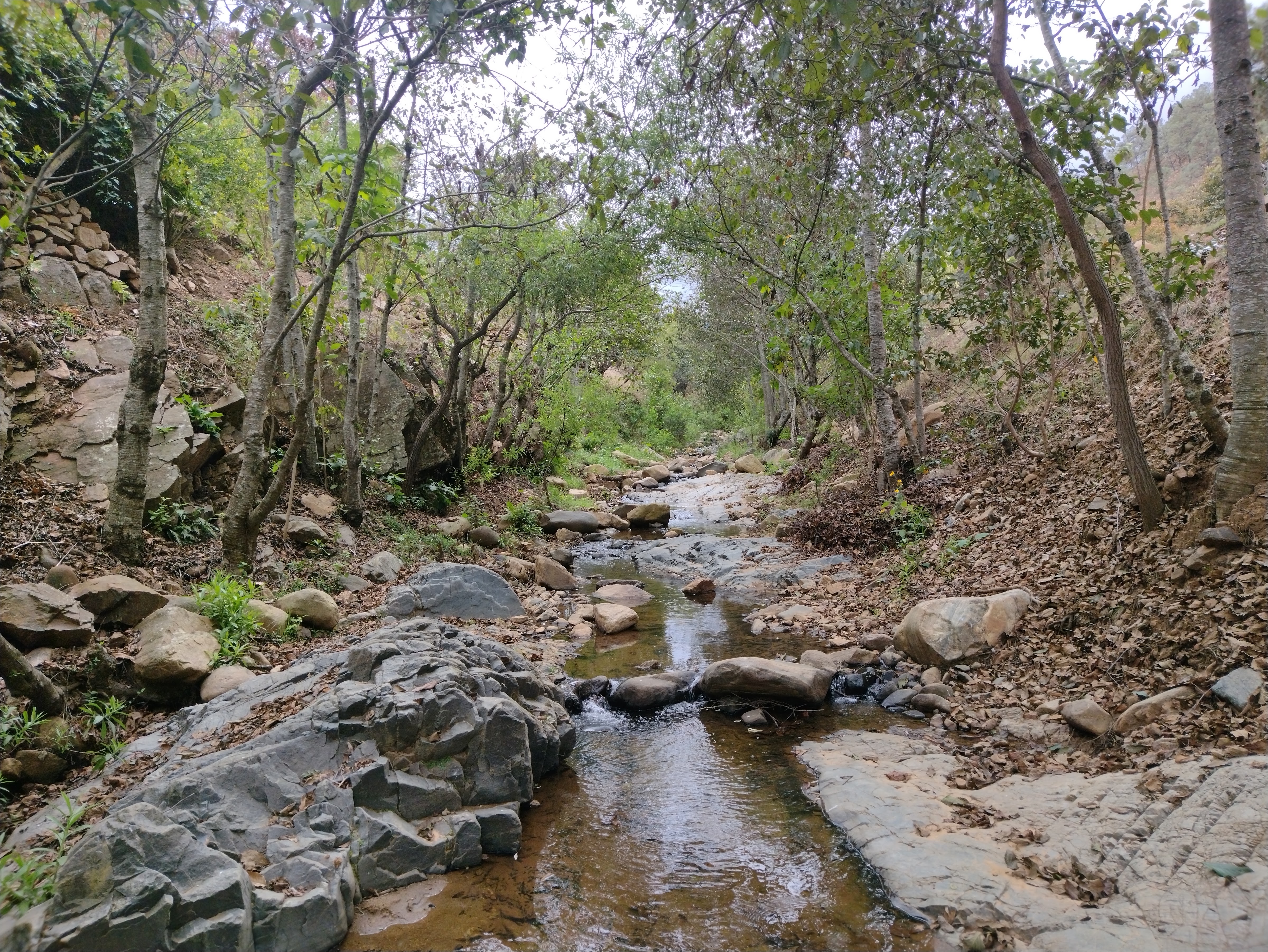 Centro recreativo las peñas Río Jalapilla image 6
