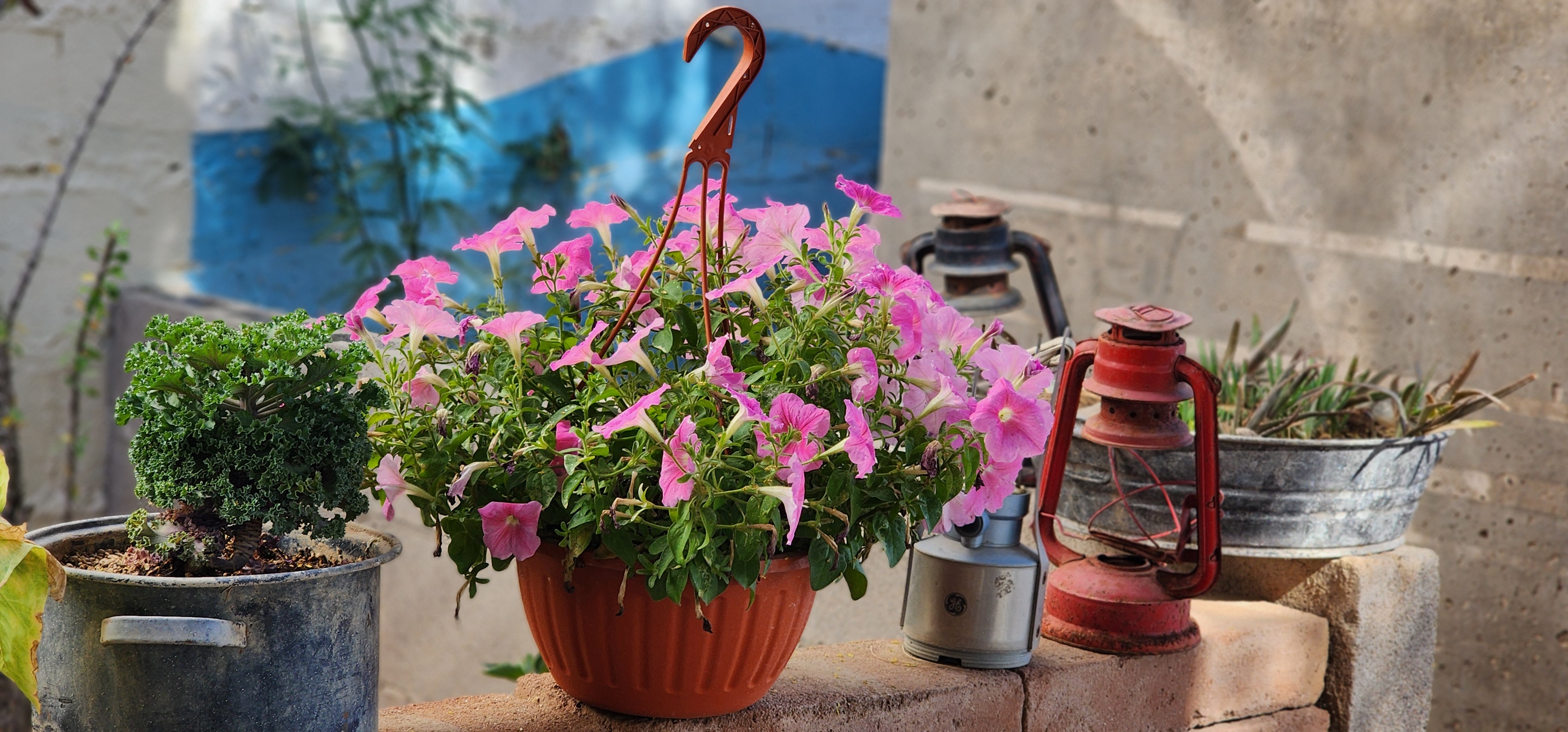 SALOME EL SAZON CASERO image 7