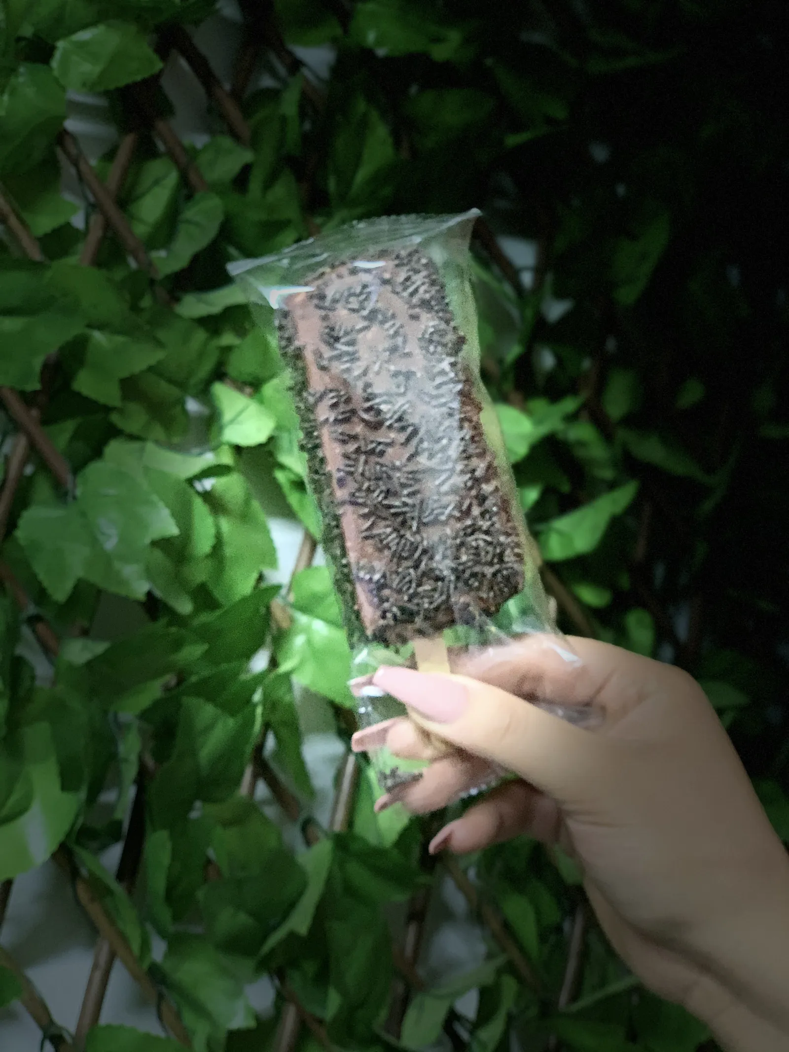 La Esquinita del Antojo image 10