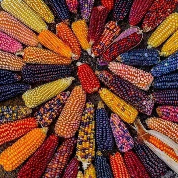 Comedor La Posada image 6