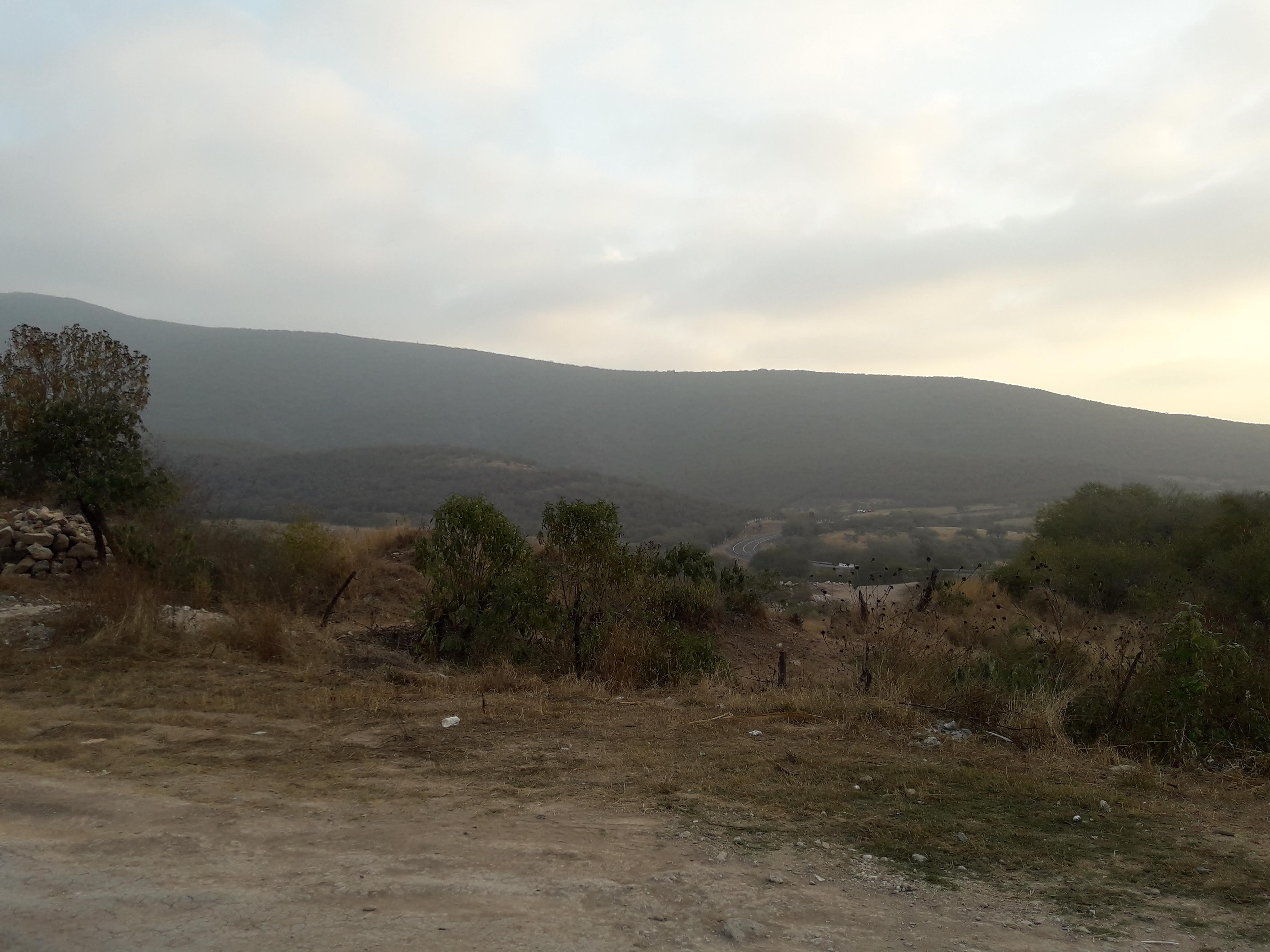 Barbacoa El Borregon image 8