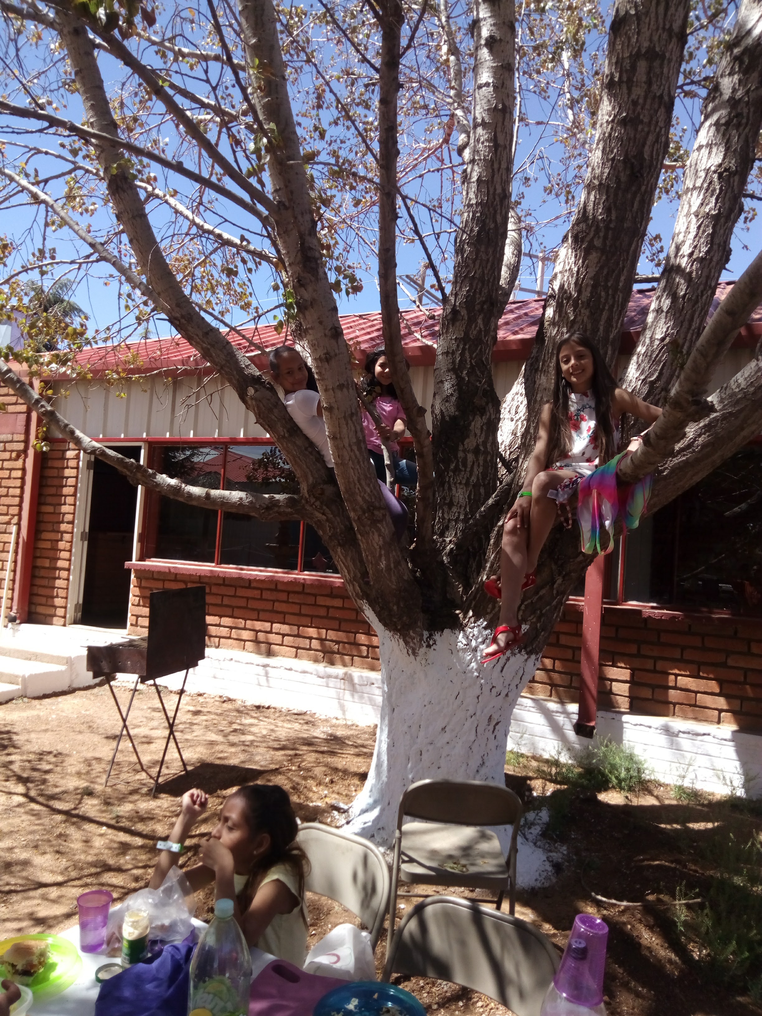 Restuarante Los Menonitas image 8