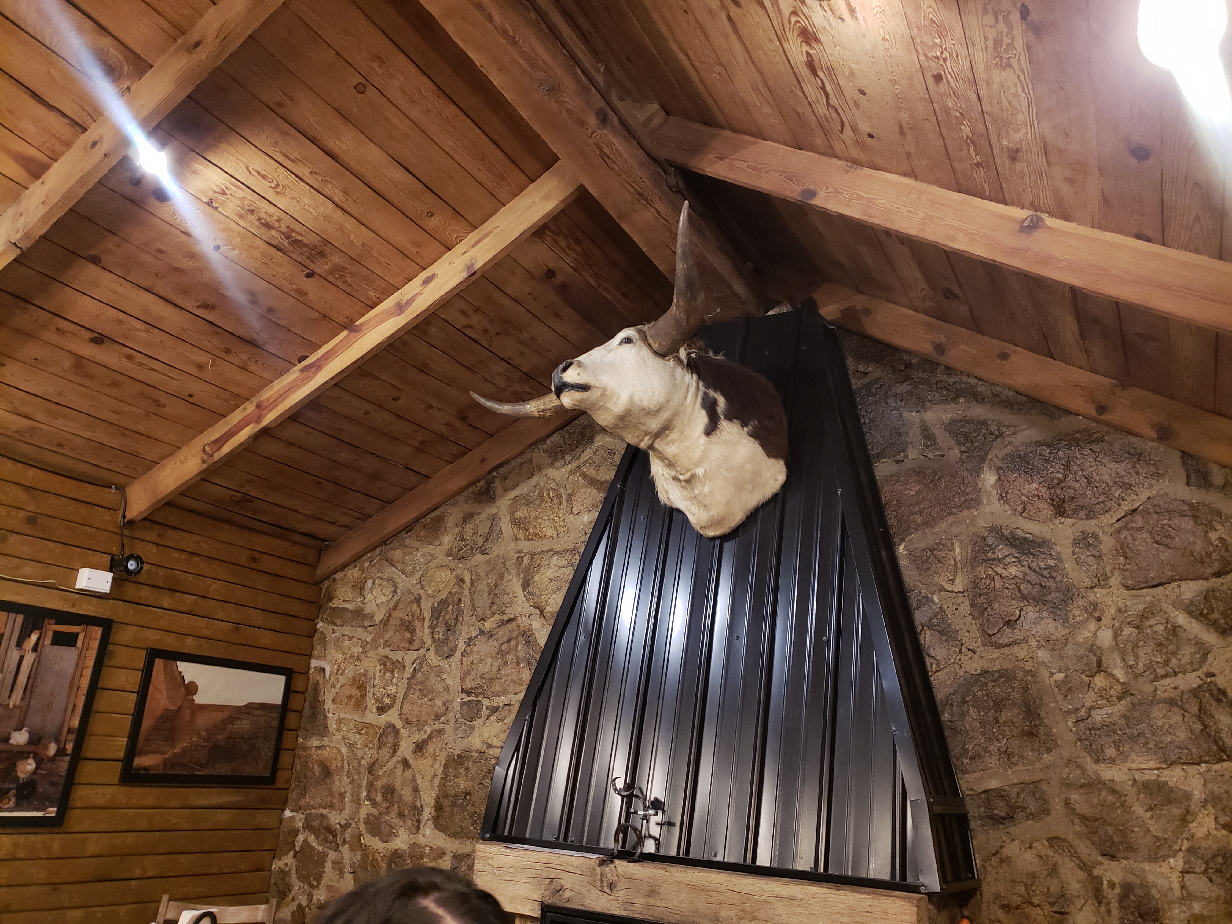 Herradero Tacos Bar image 6