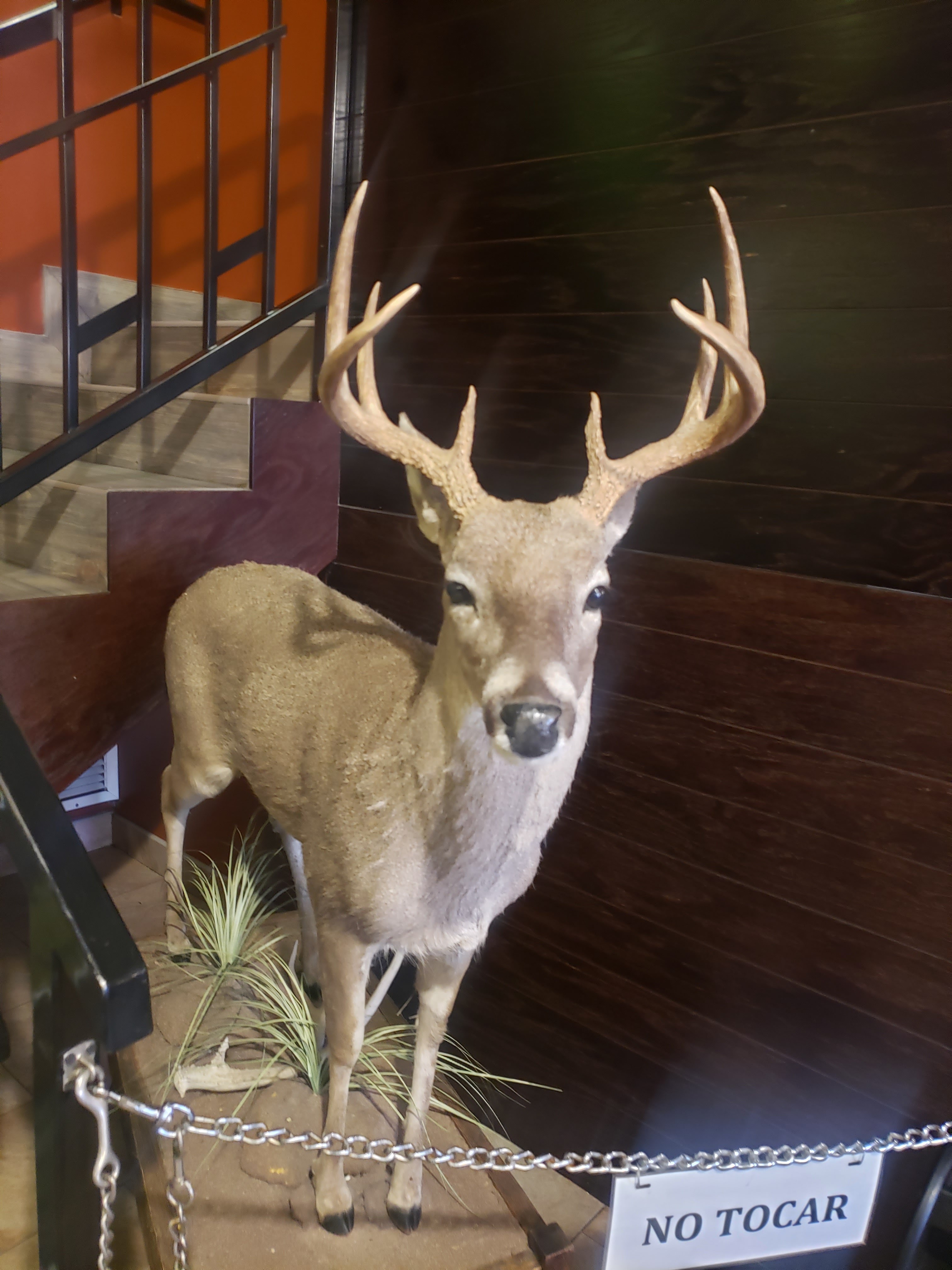 Pizzeria La Sierra image 5