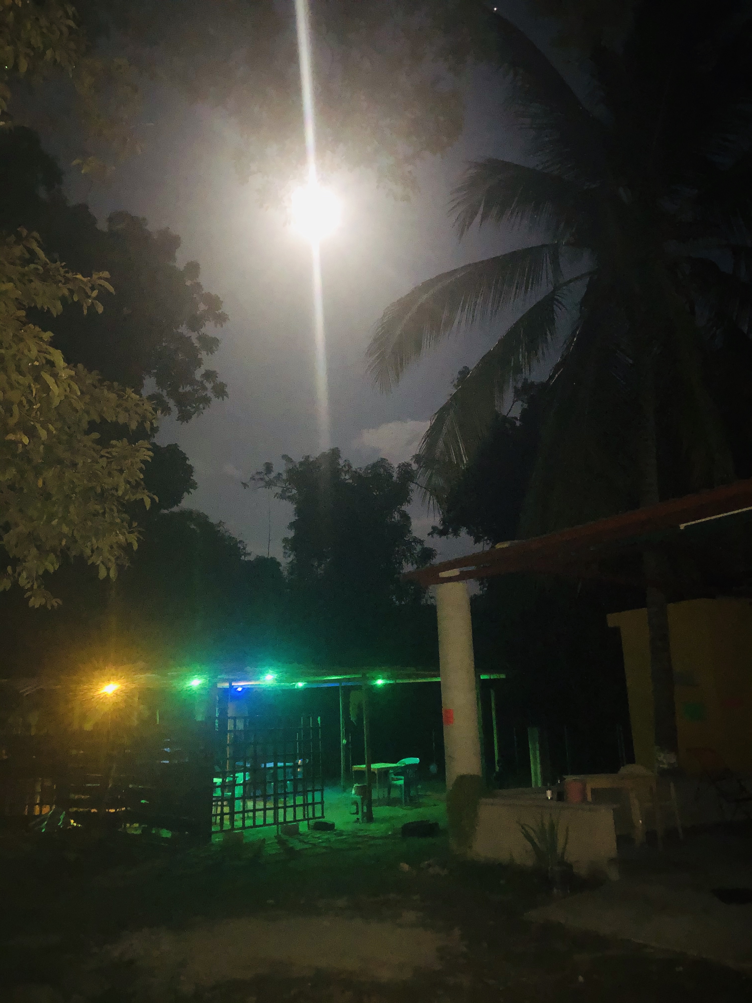 Coctelería Tasty Wings image 3