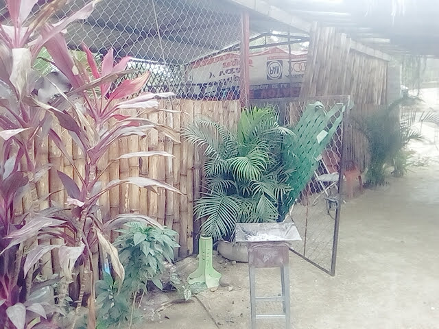 Centro Familiar Hondura Blanca image 4