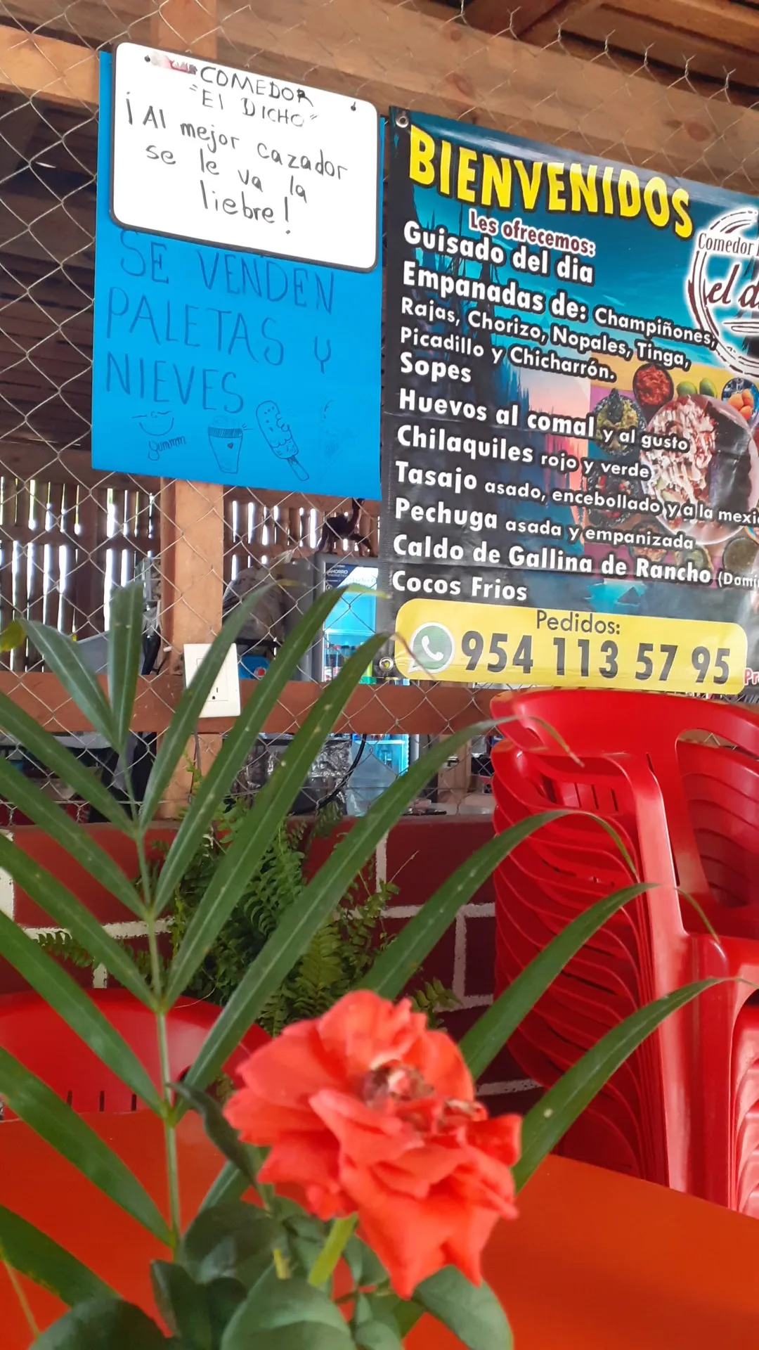 Comedor Económico El Dicho image 1