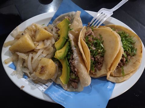 Taquería Papagayo image 3