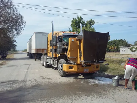 Pollos Arturo image 2