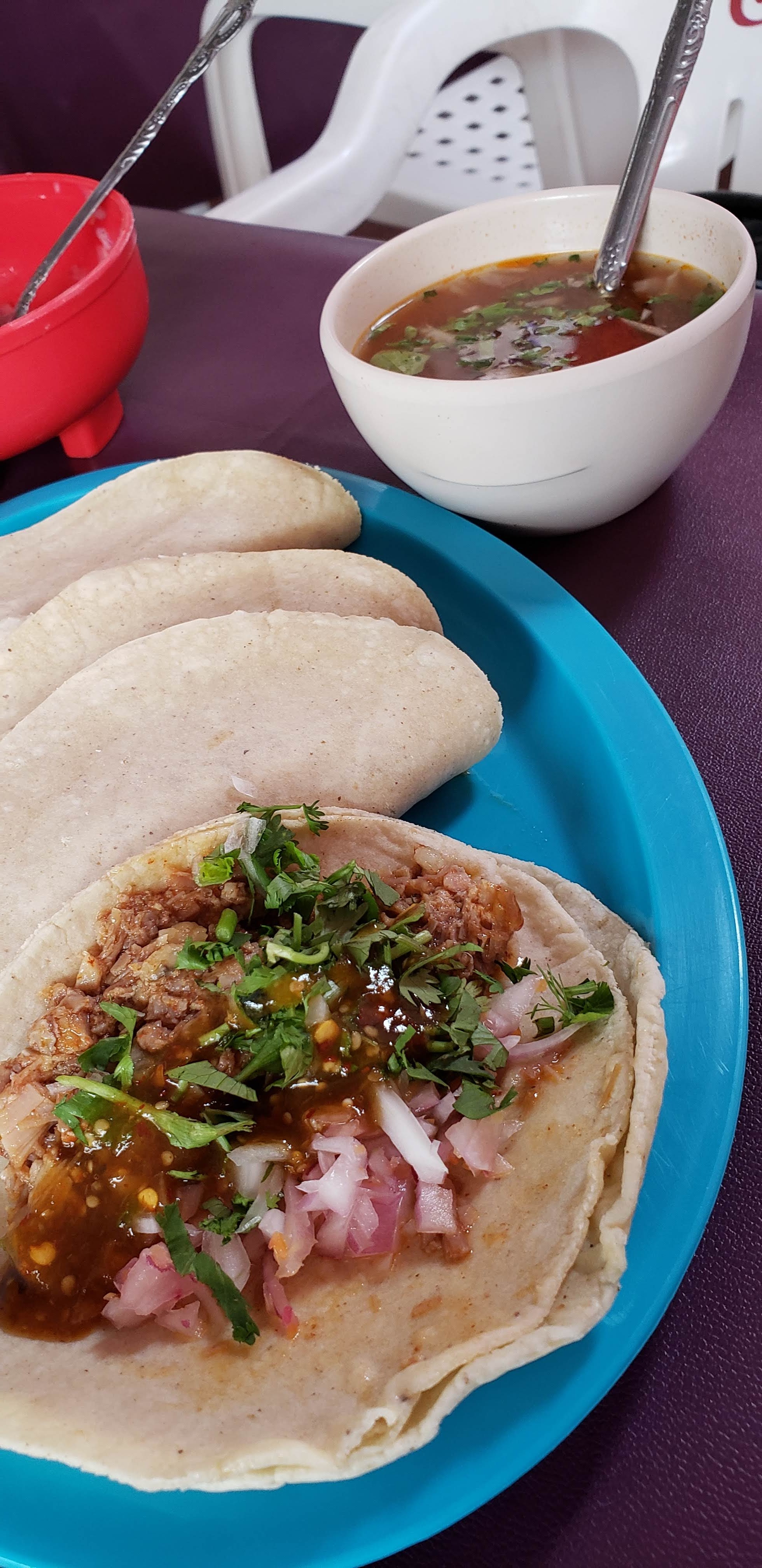 Tacolandia 3 image 5