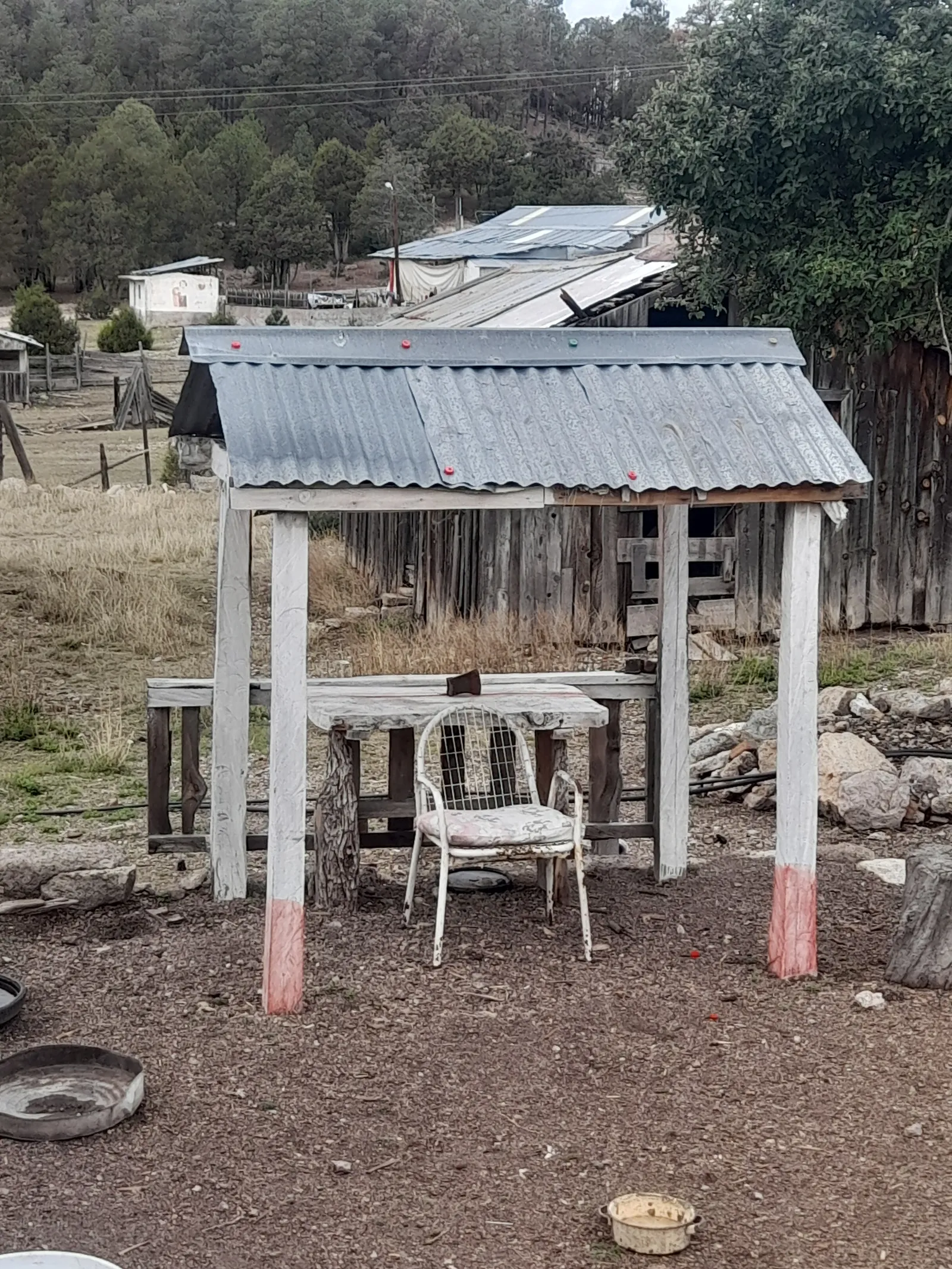 LOS OJITOS EL YAQUI image 3