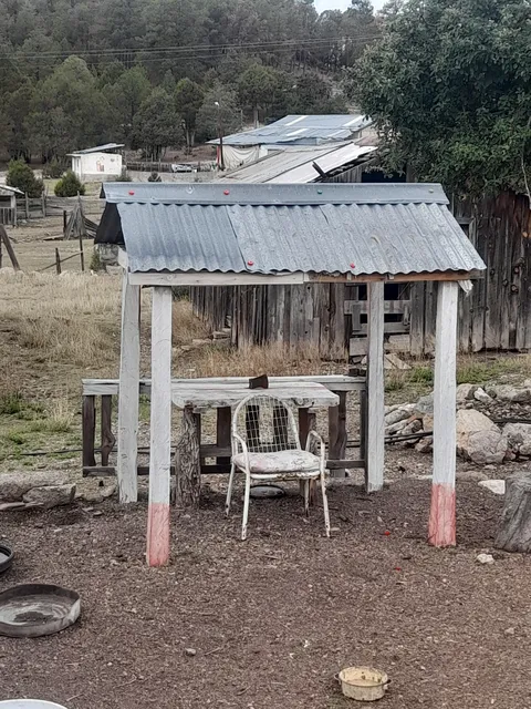 LOS OJITOS EL YAQUI image 3