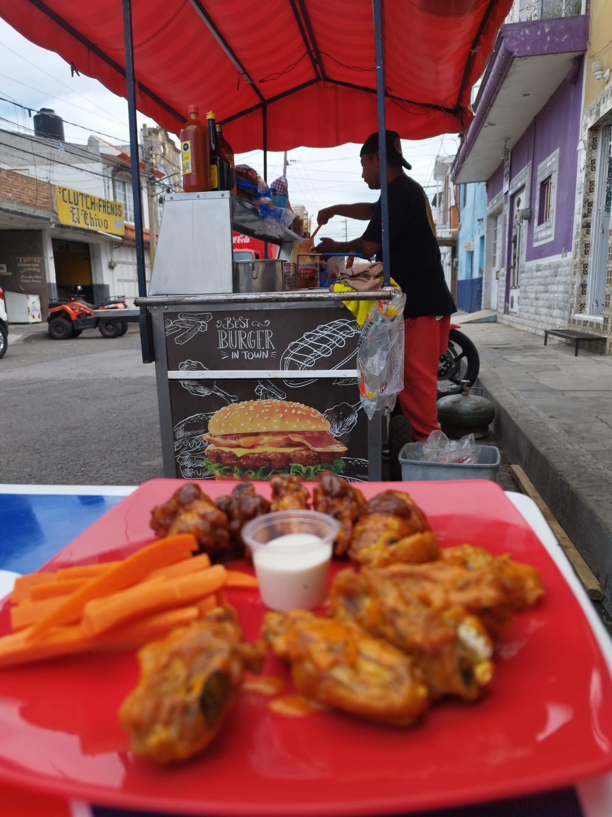 Chars whings image 3