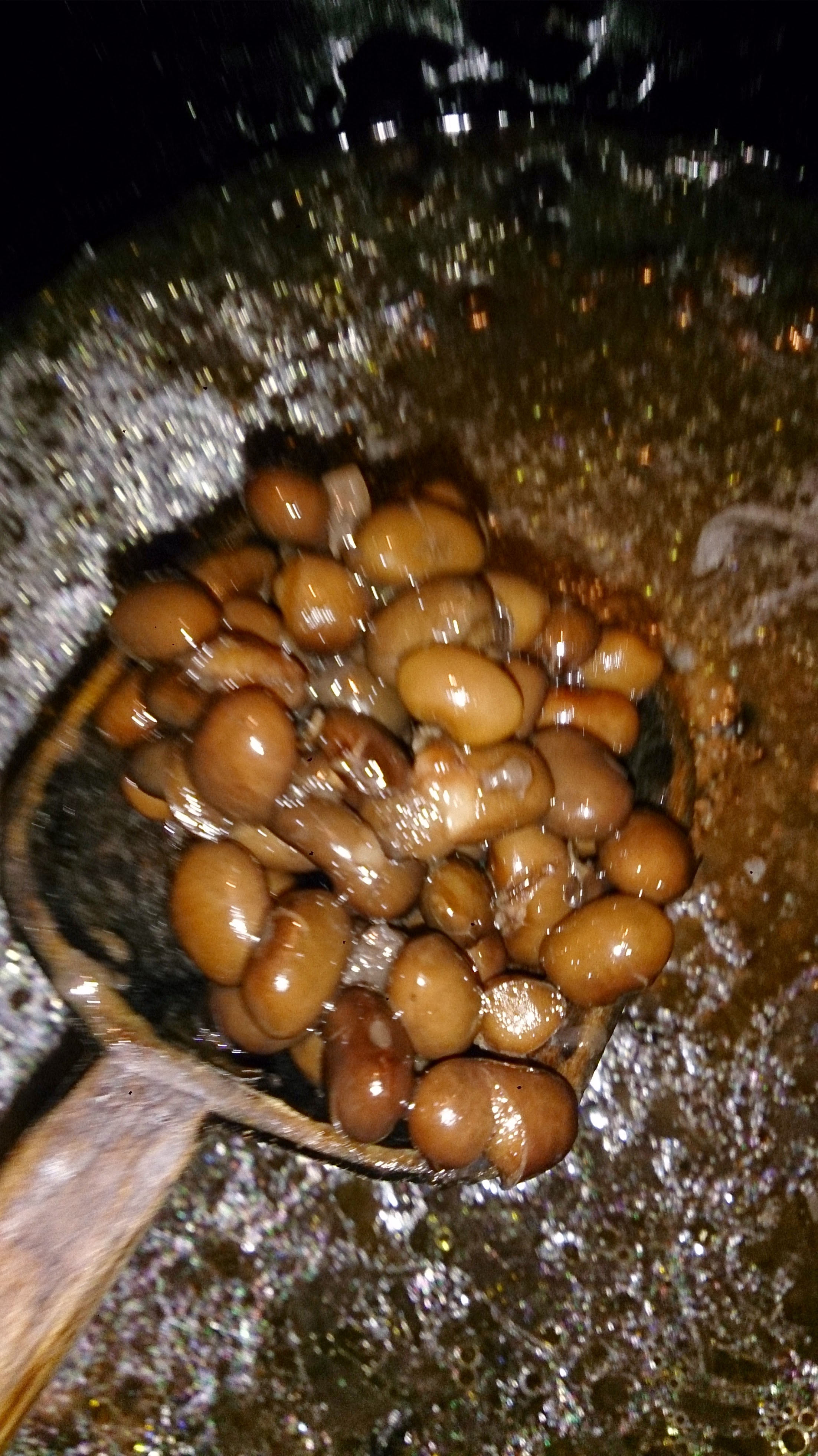 Barbacoa "La Lomita" image 7