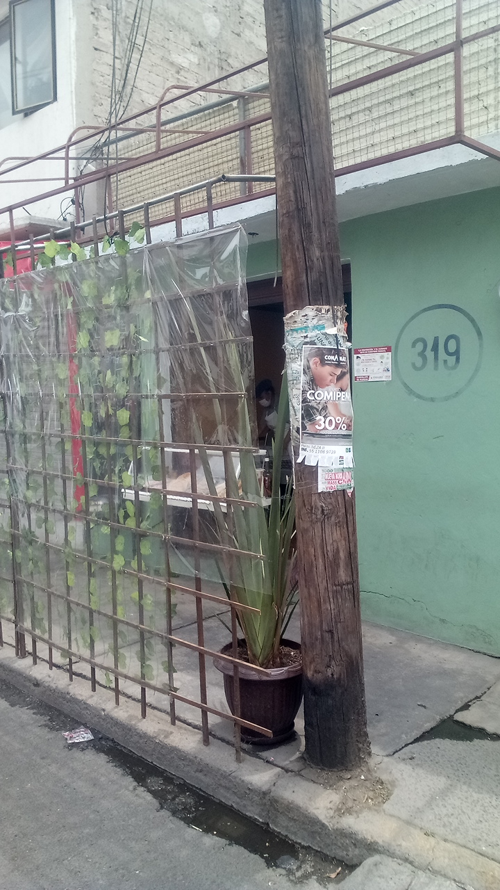 Marisquería "Bajo Cero" image 3