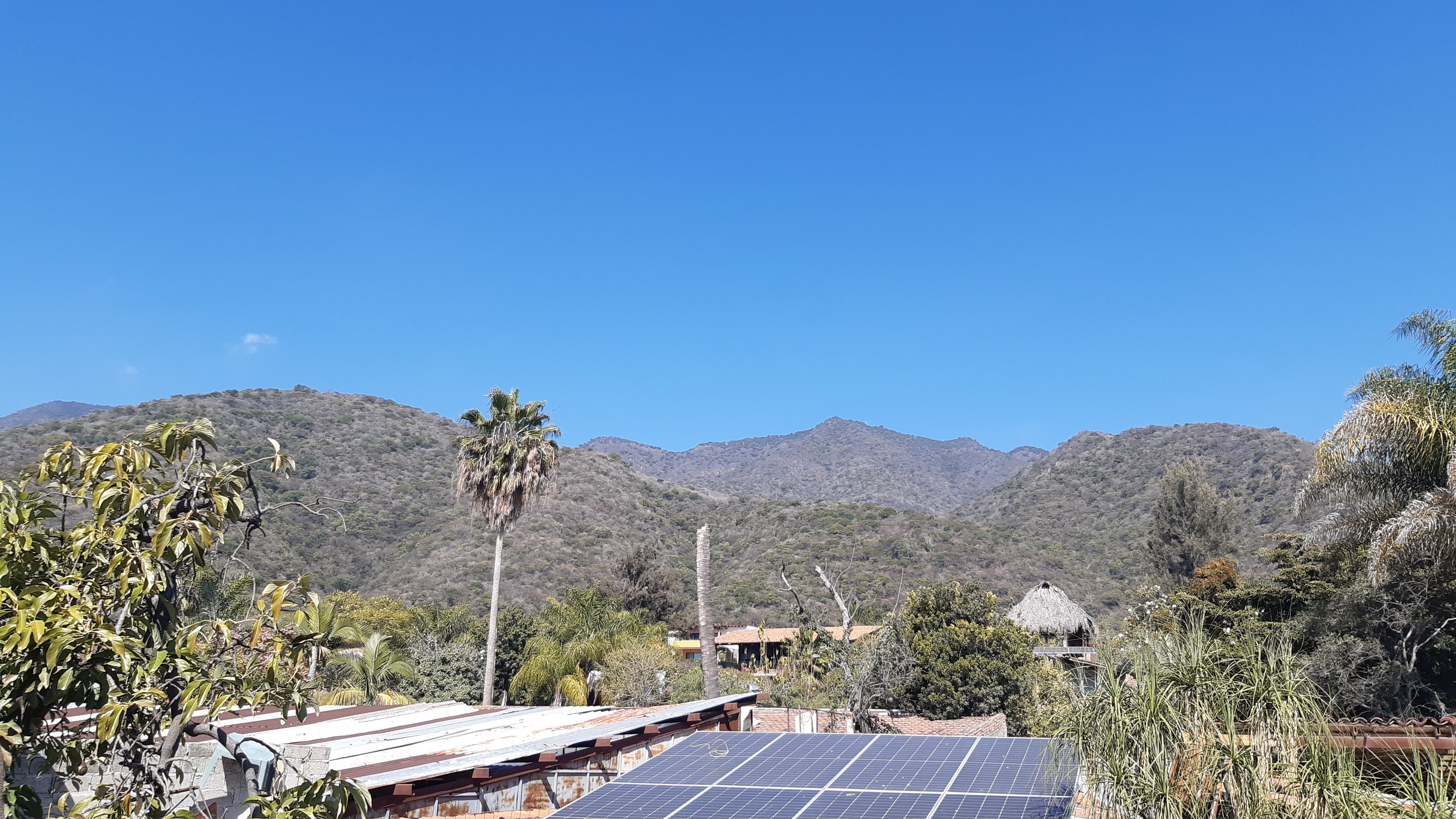 El Bar Co. Ajijic image 5