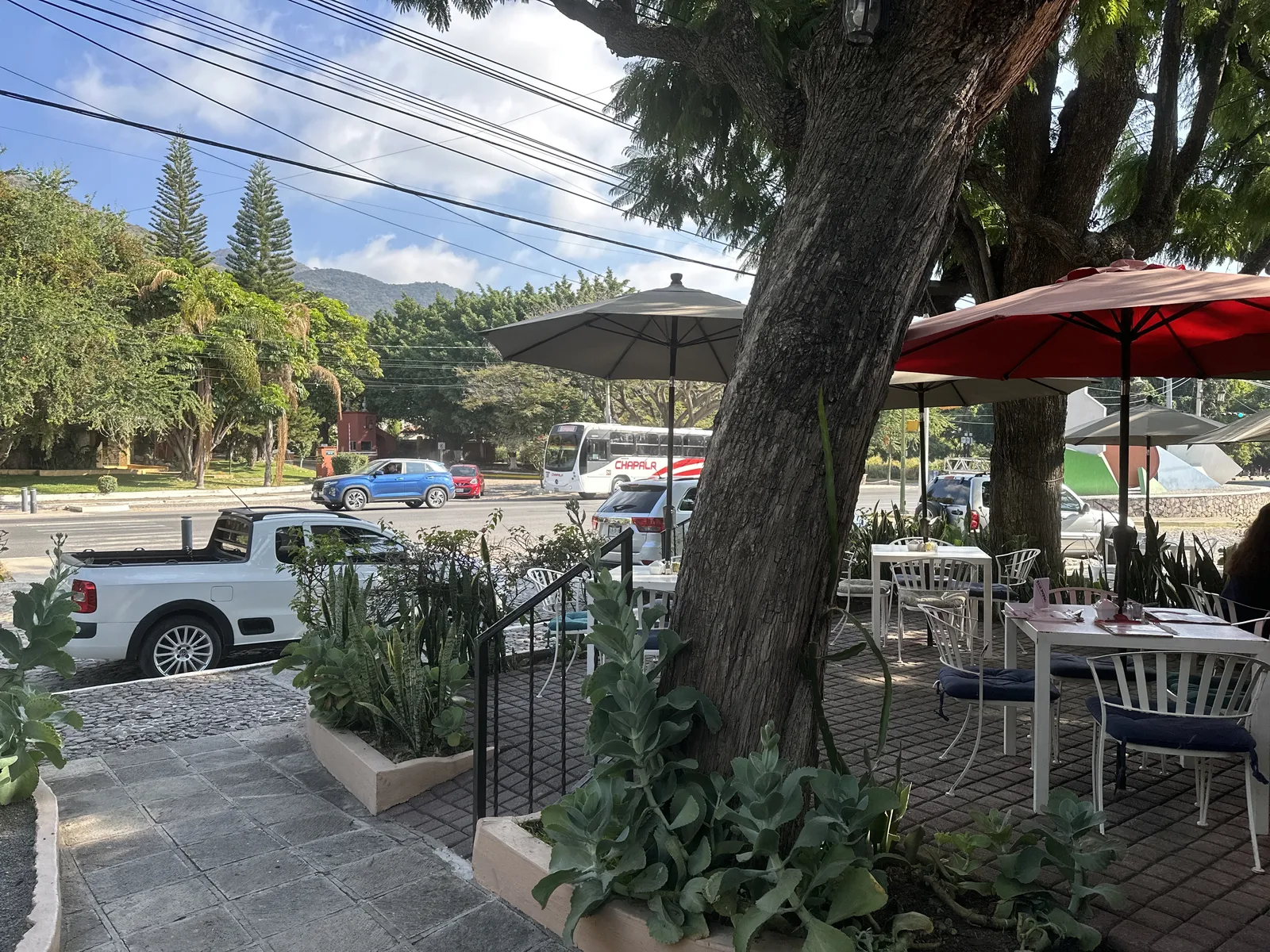 Pranzo image 5