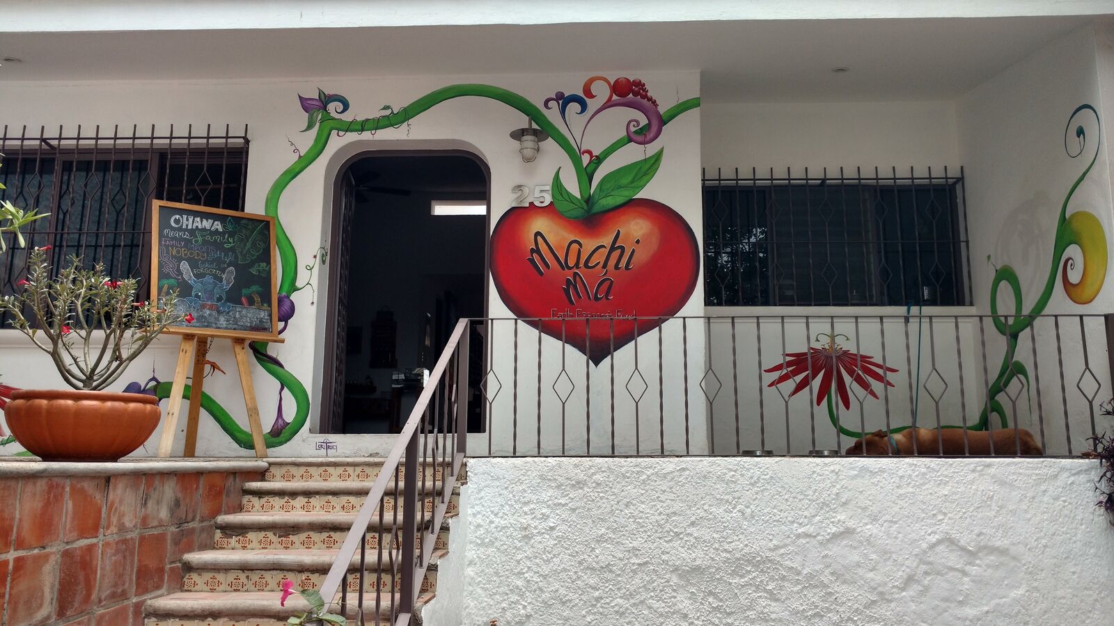 Machimá image 5