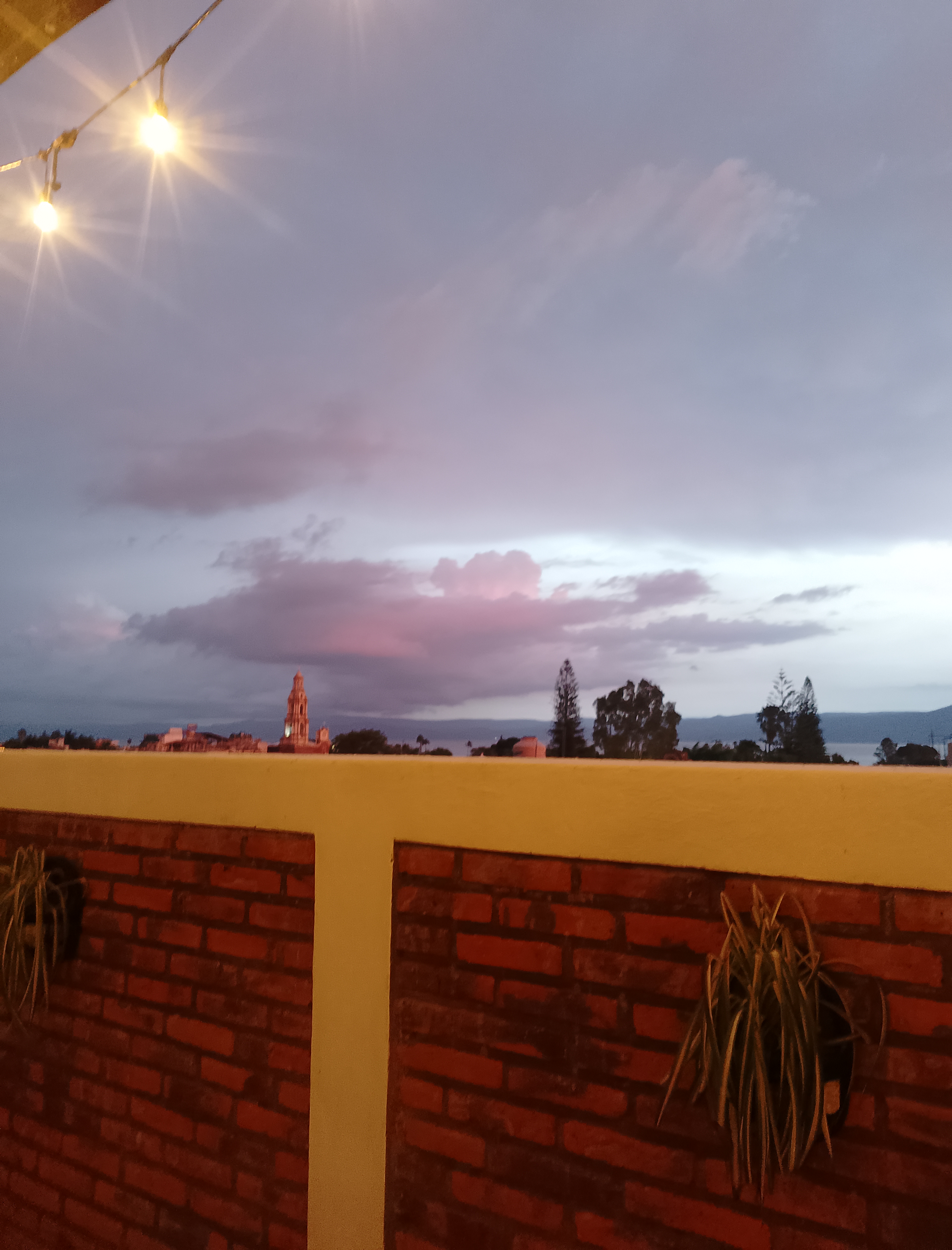 Rincón de Mar Restaurante Ajijic image 9