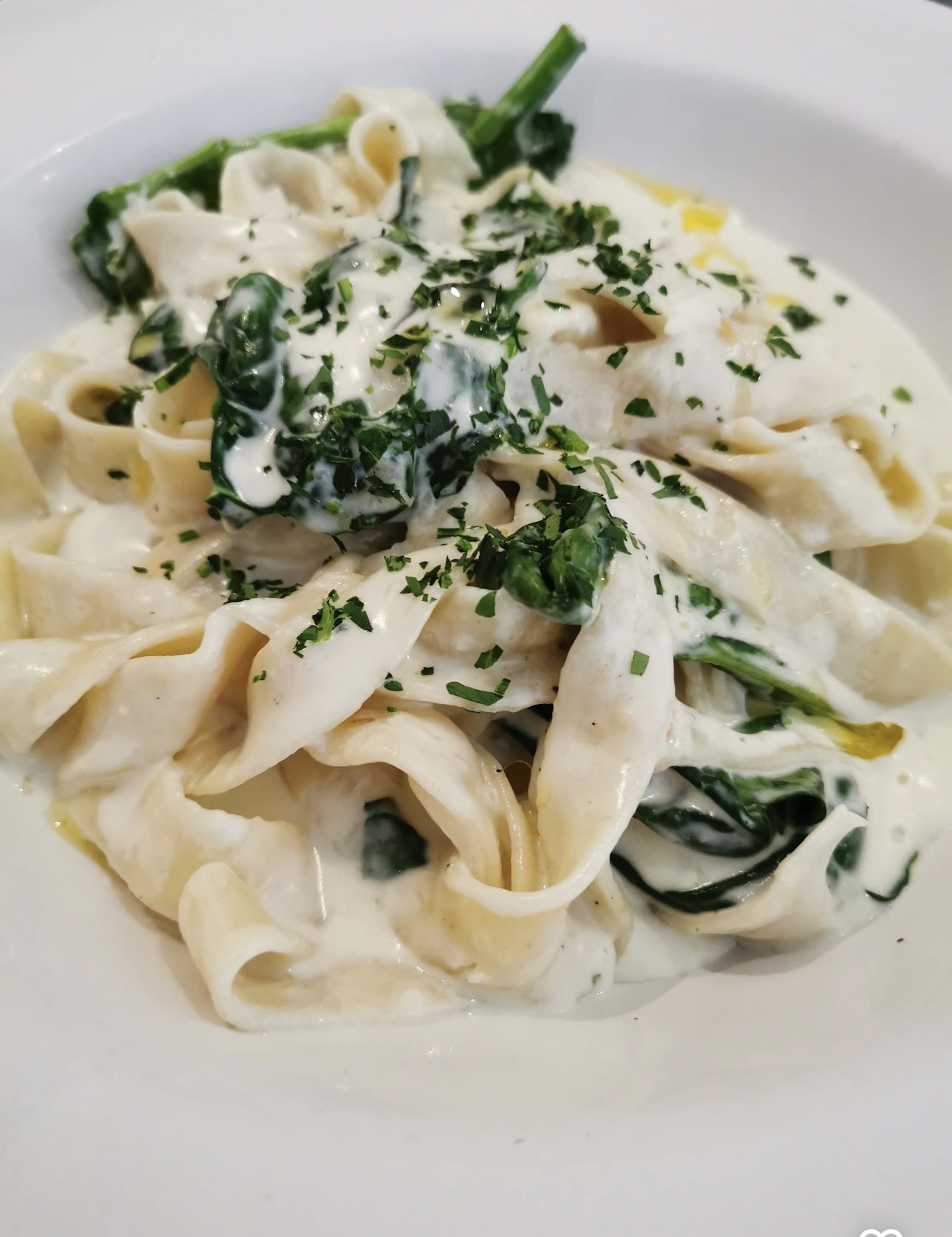 Alex's Pasta Bar image 4